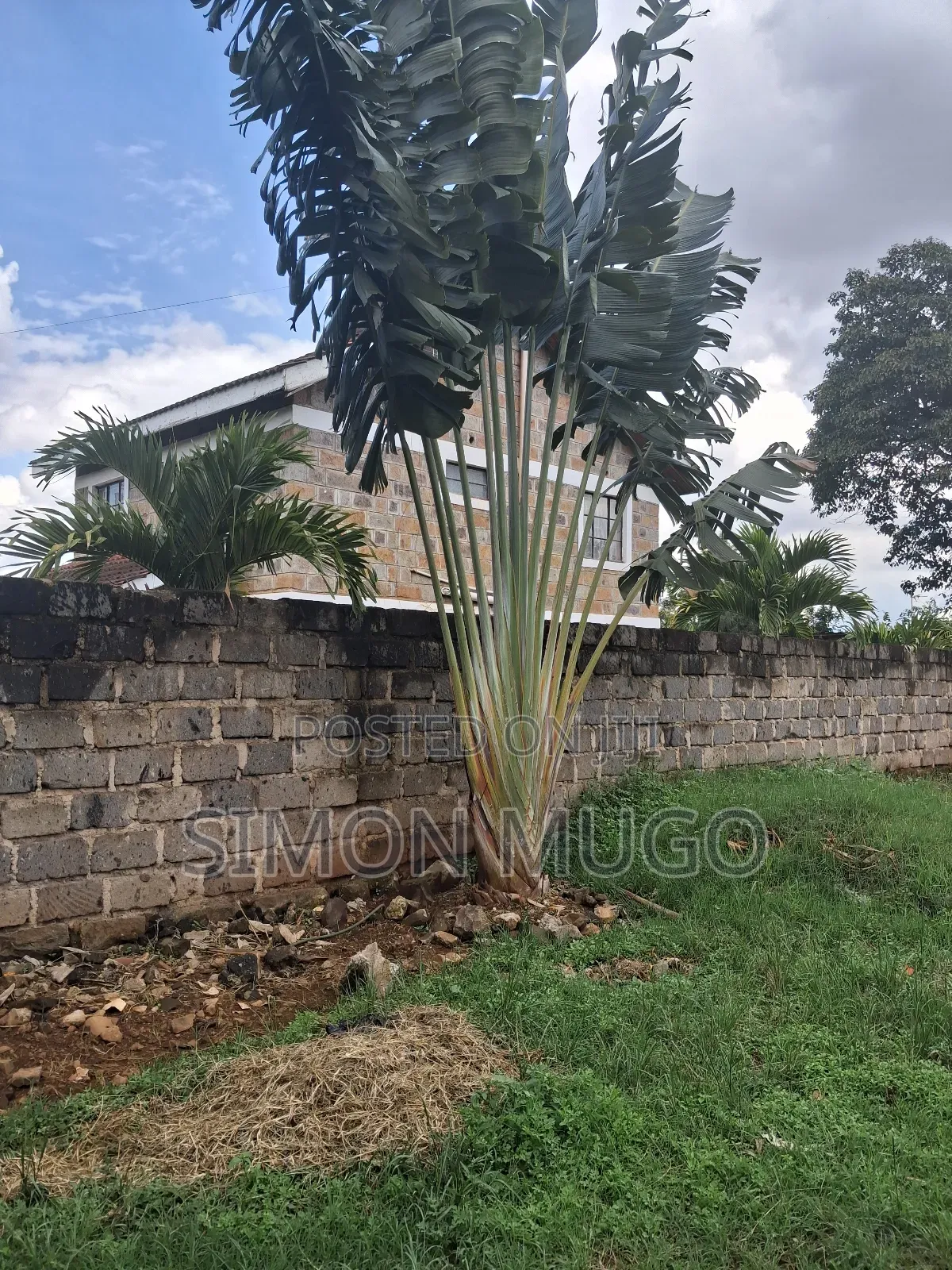 Thome Very Prime Residential 1/2 Ac Behind Safari Park Hotel in Ridgeways
