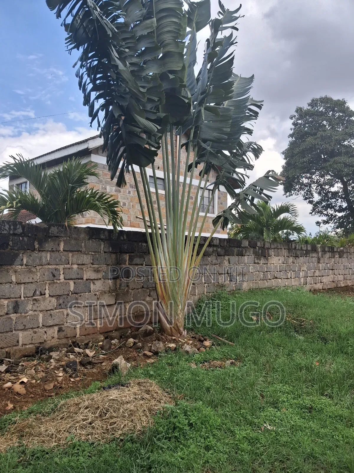 Thome Very Prime Residential 1/2 Ac Behind Safari Park Hotel in Ridgeways