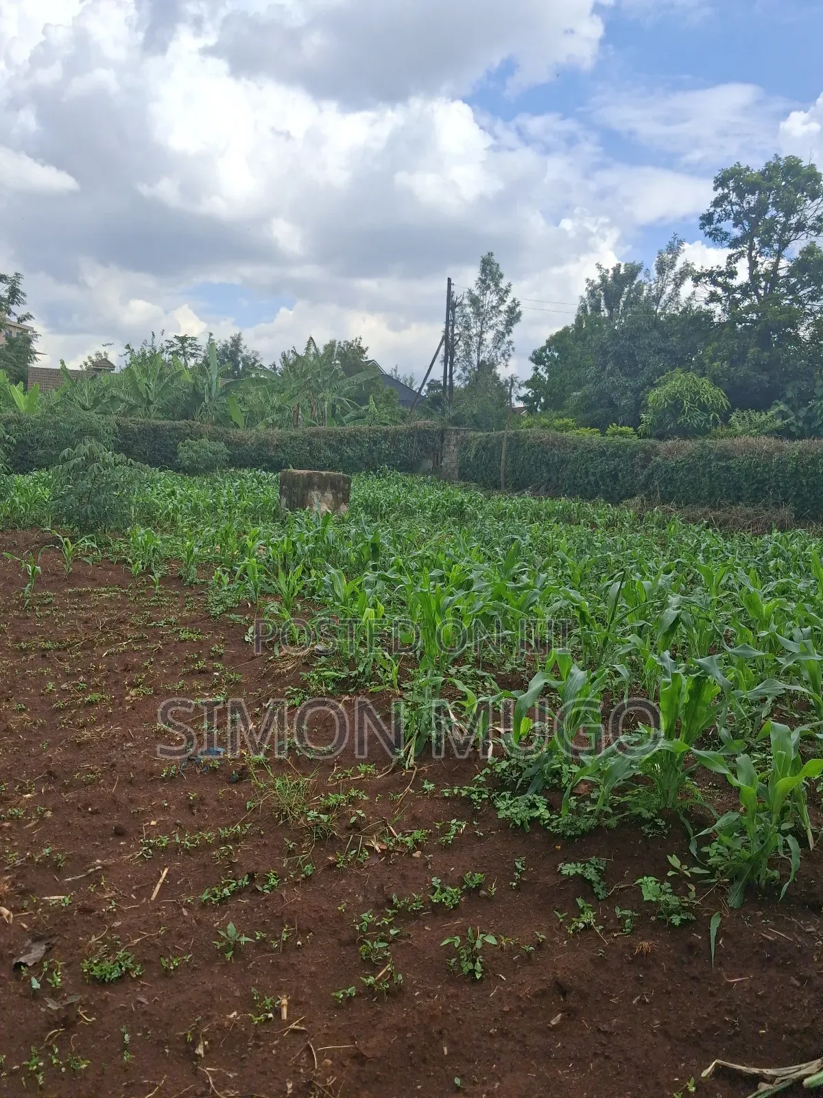 Thome Very Prime Residential 1/2 Ac Behind Safari Park Hotel in Ridgeways