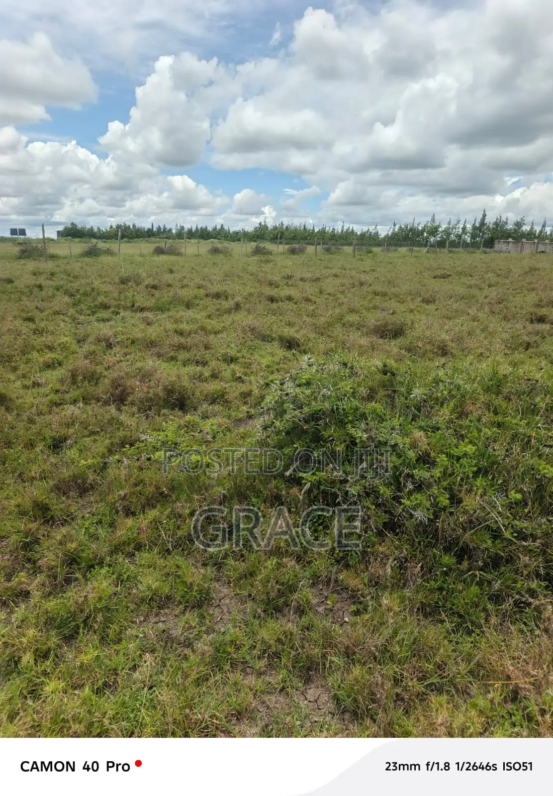 Prime Mbuni Gardens (Near Ostrich Farm)Plots for Sale in Kitengela
