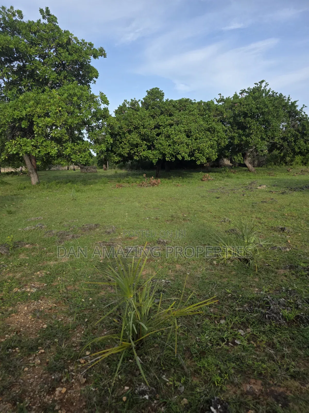 1 Acre With a Well Diani Kongo River Area for Sale 3 Row From the Sea in Diani