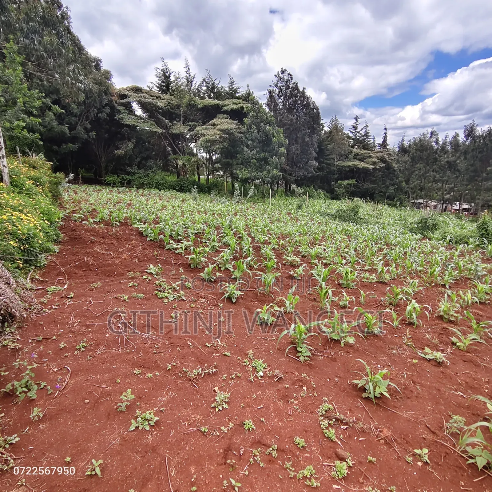 Plot for Sale in Ngong Kibiko in Kiserian