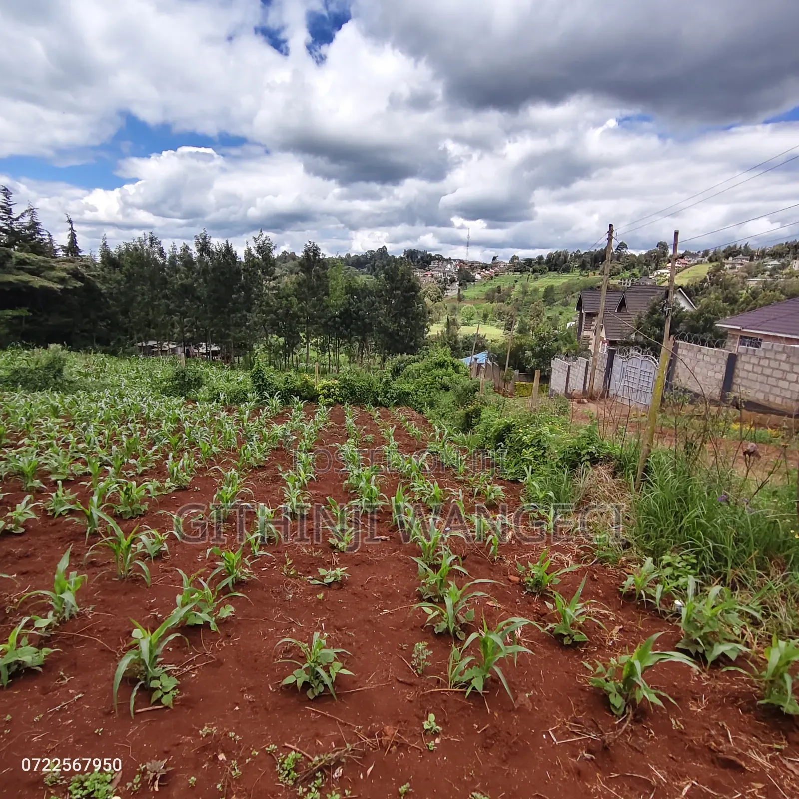 Plot for Sale in Ngong Kibiko in Kiserian