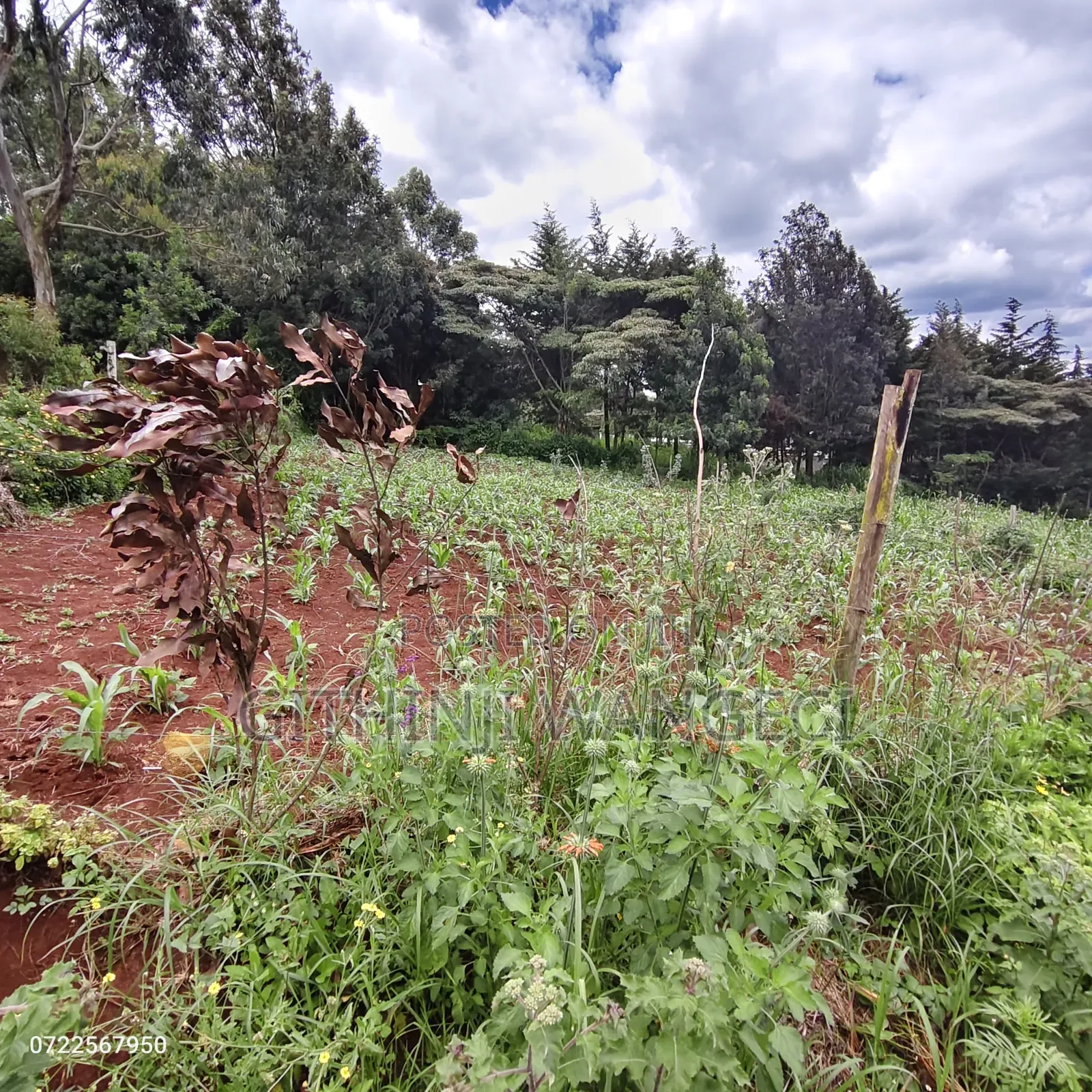 Plot for Sale in Ngong Kibiko in Kiserian