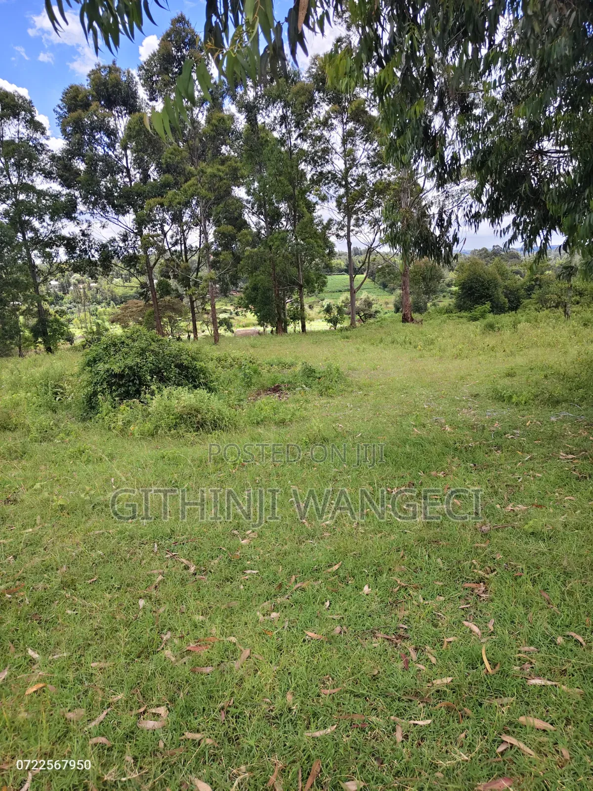 Land for Sale in Ol Keri