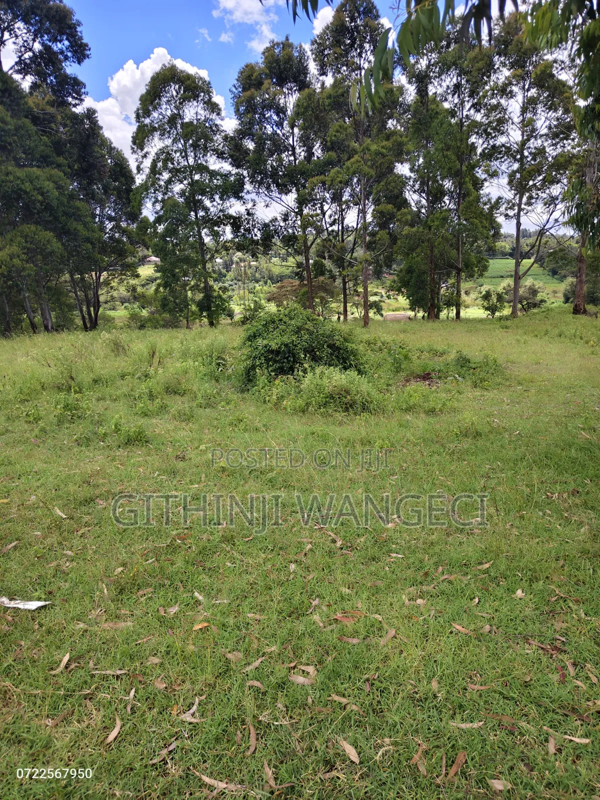 Land for Sale in Ol Keri
