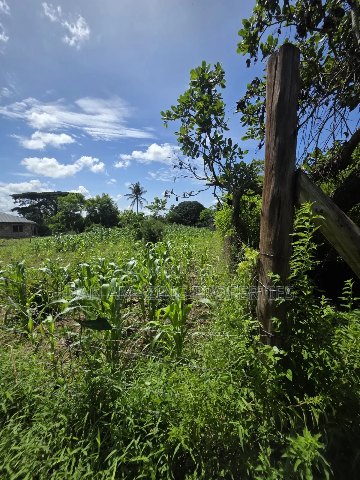 1/4 Acre Ukunda Shamu for Sale Ideal for Residential or Commercial in Diani