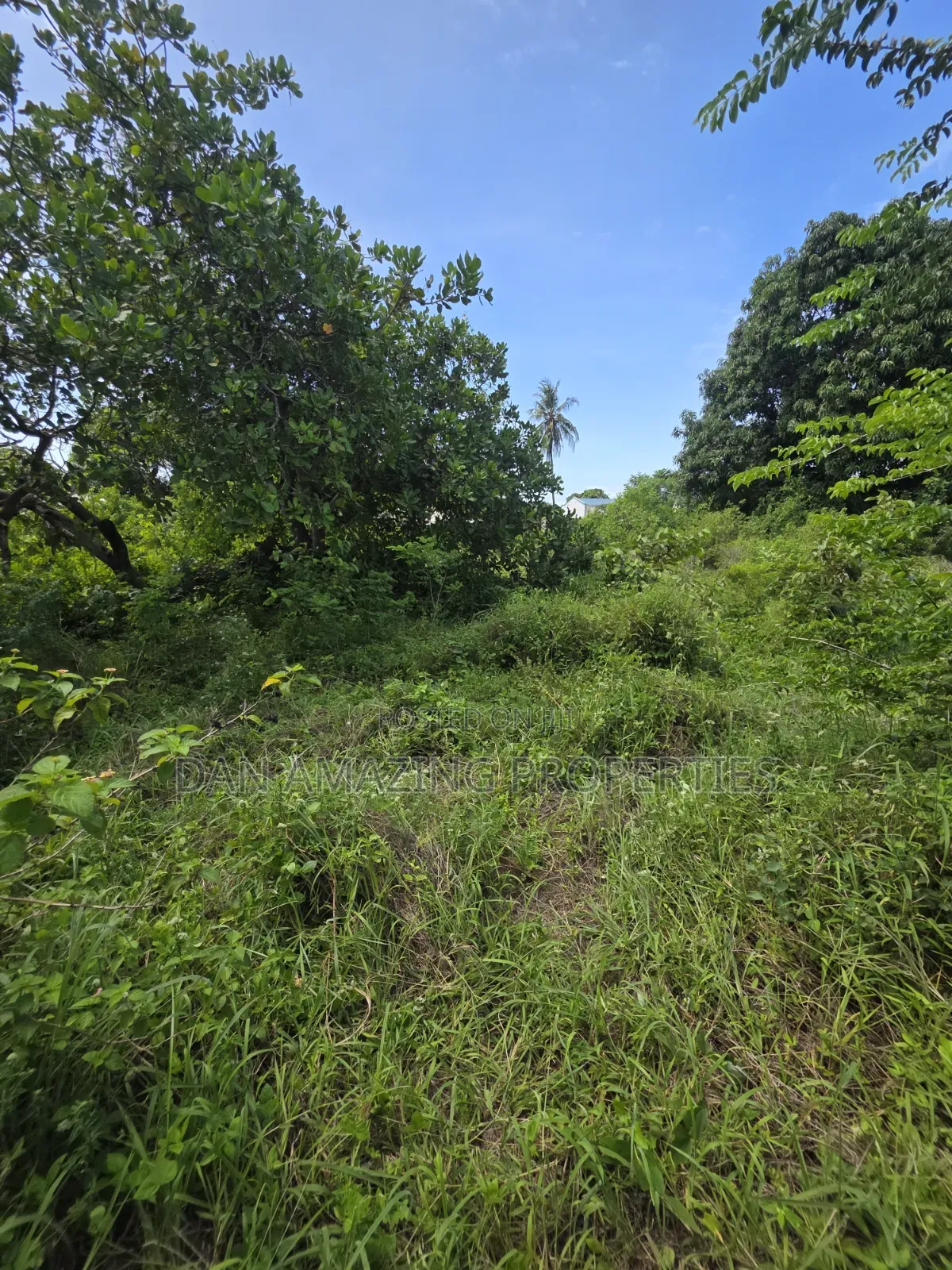 1/4 Acre Ukunda Shamu for Sale Ideal for Residential or Commercial in Diani