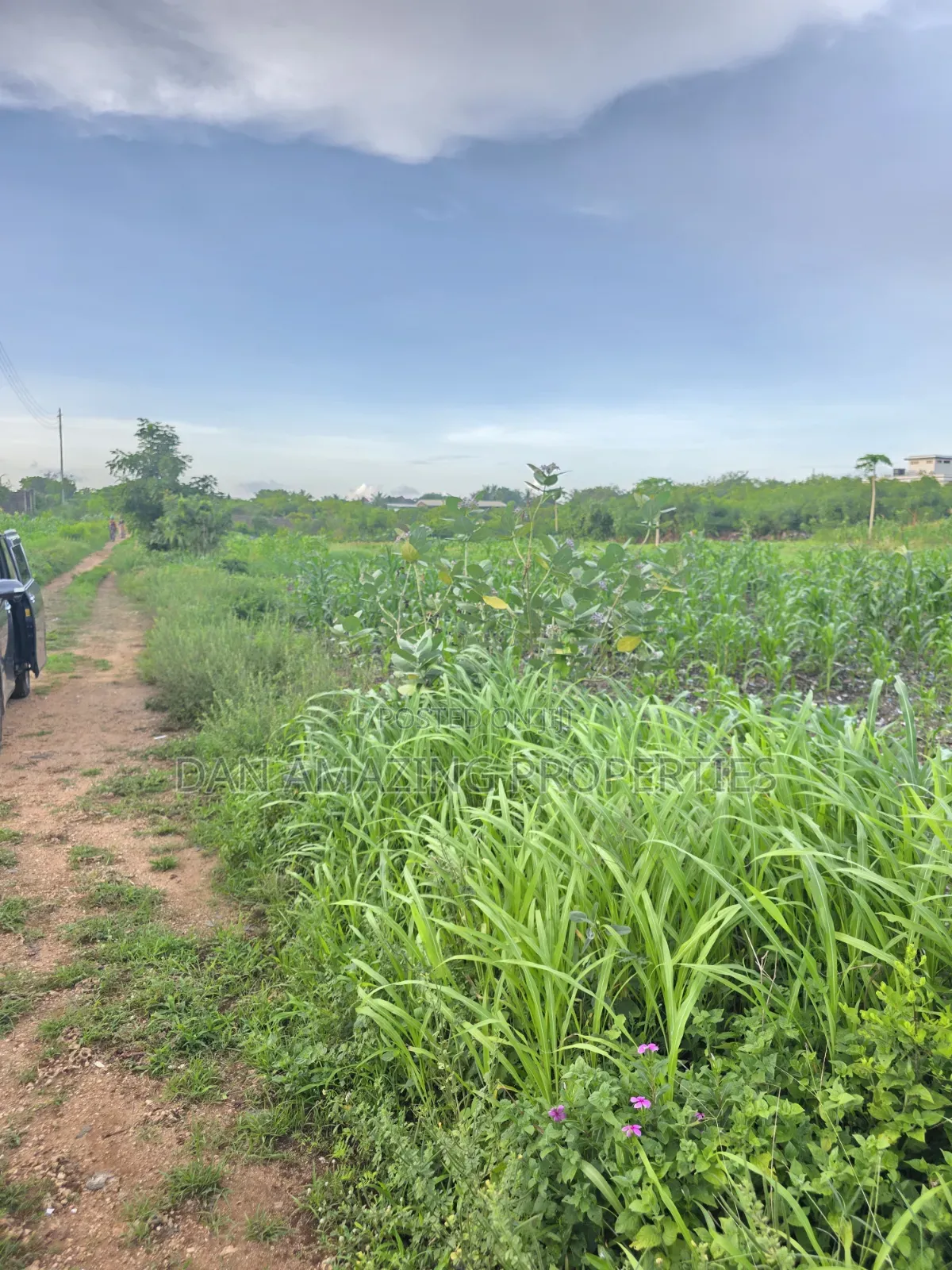 1/4 Acre Plots in Diani Jasmine Area for Sale in Diani