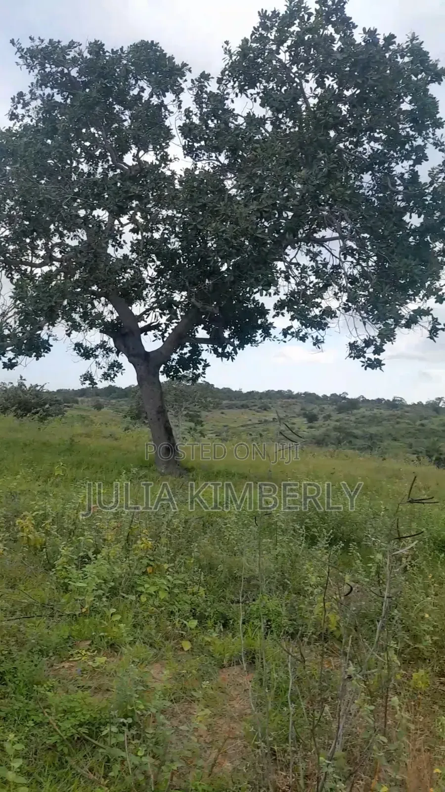Dongo Kundu 50 by 100 in Ukunda