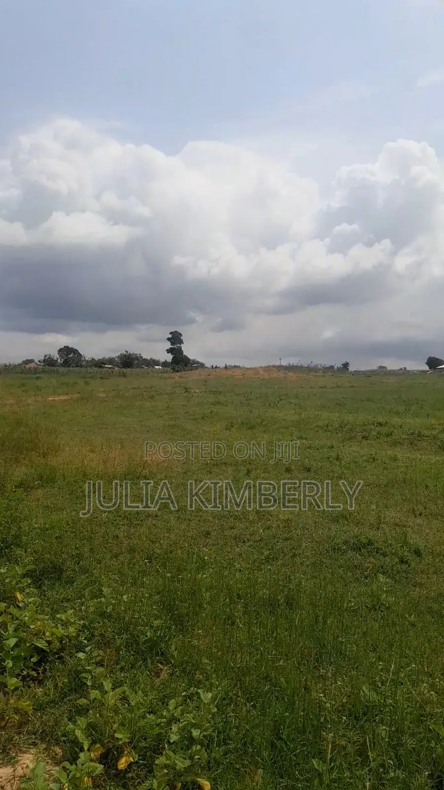 Dongo Kundu 50 by 100 in Ukunda