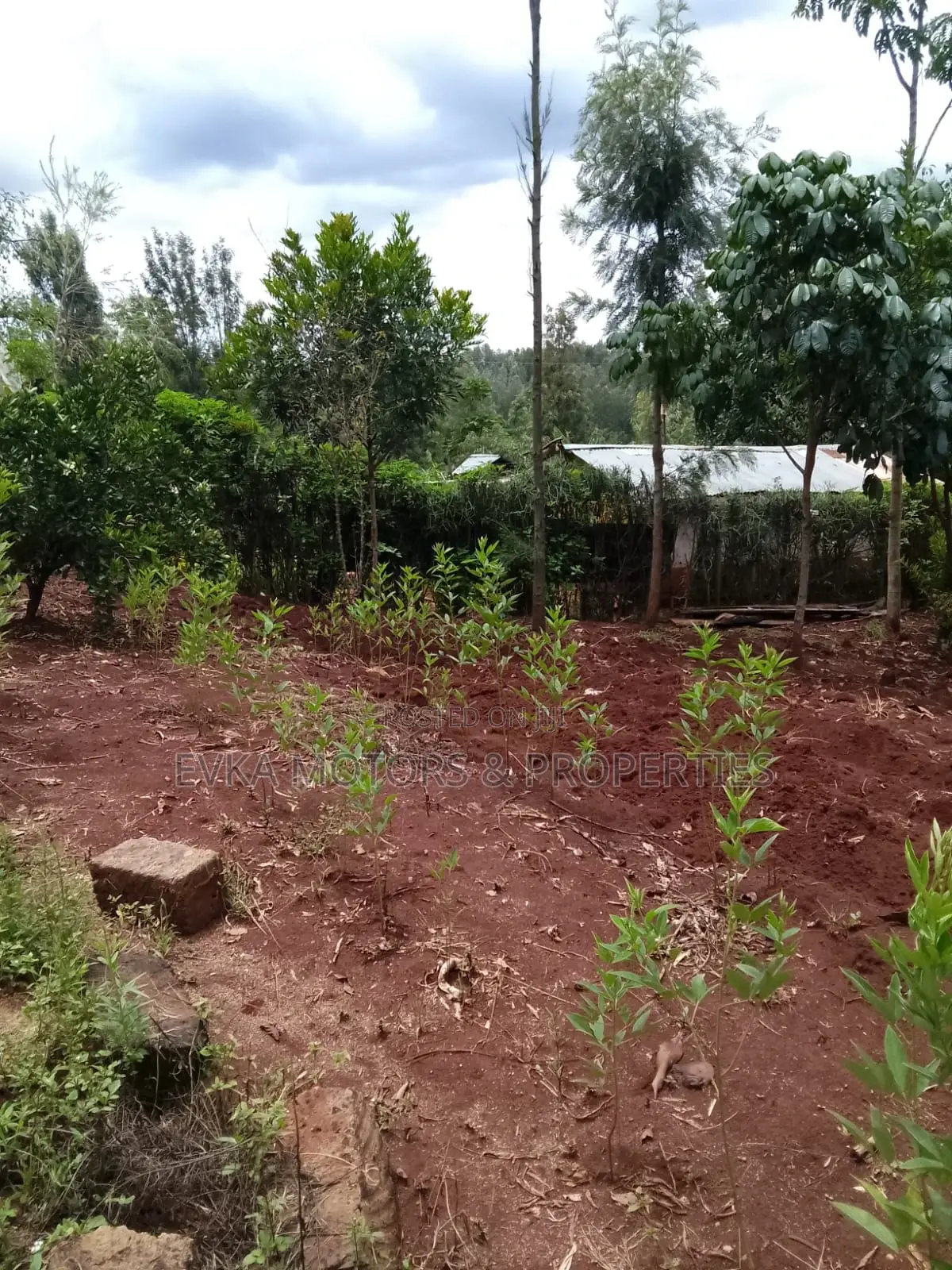 41⁄2acres Maragwa Summary in Kamahuha