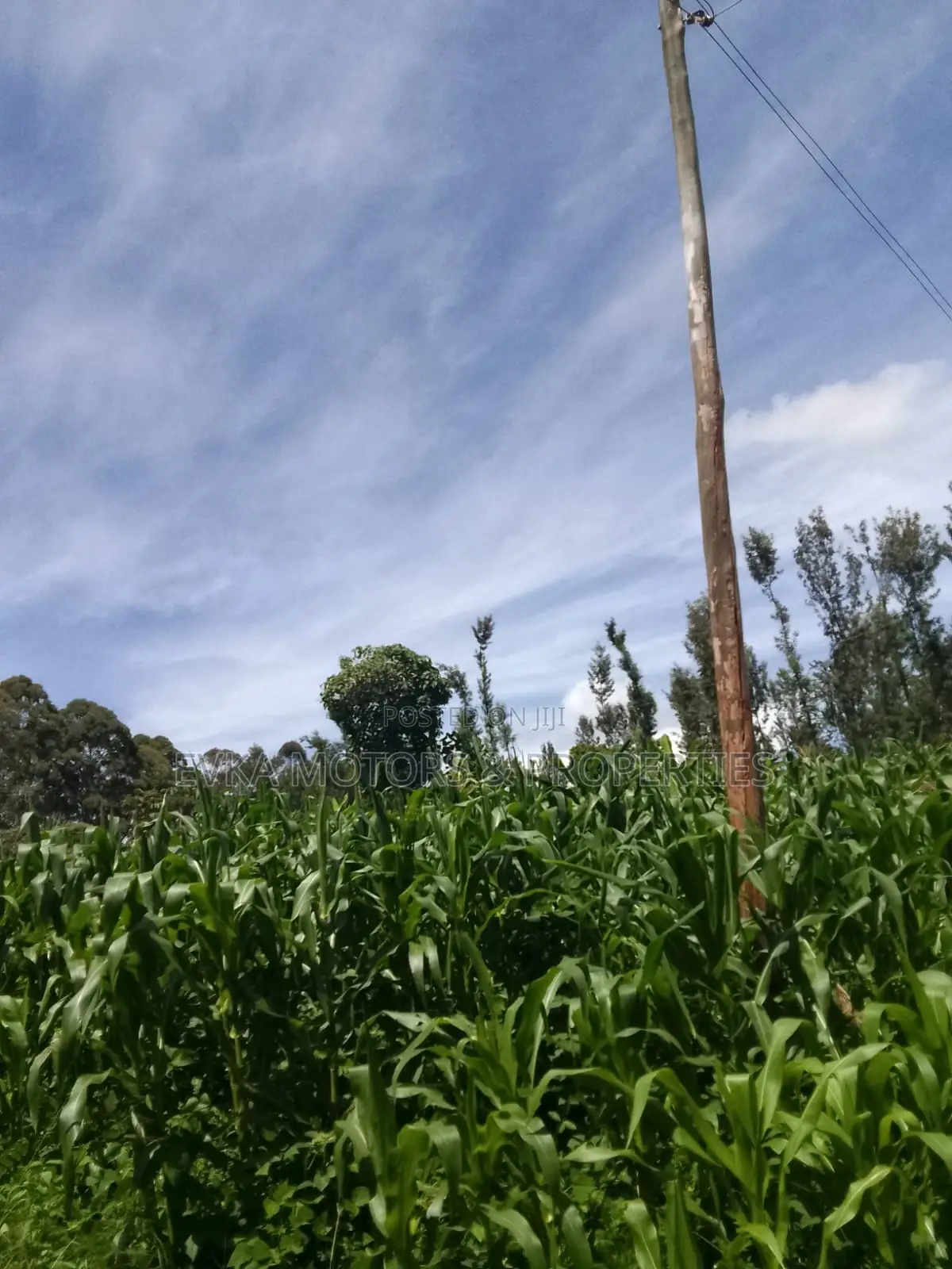 1acre Kamahuha 2km From Tarmac in Makuyu