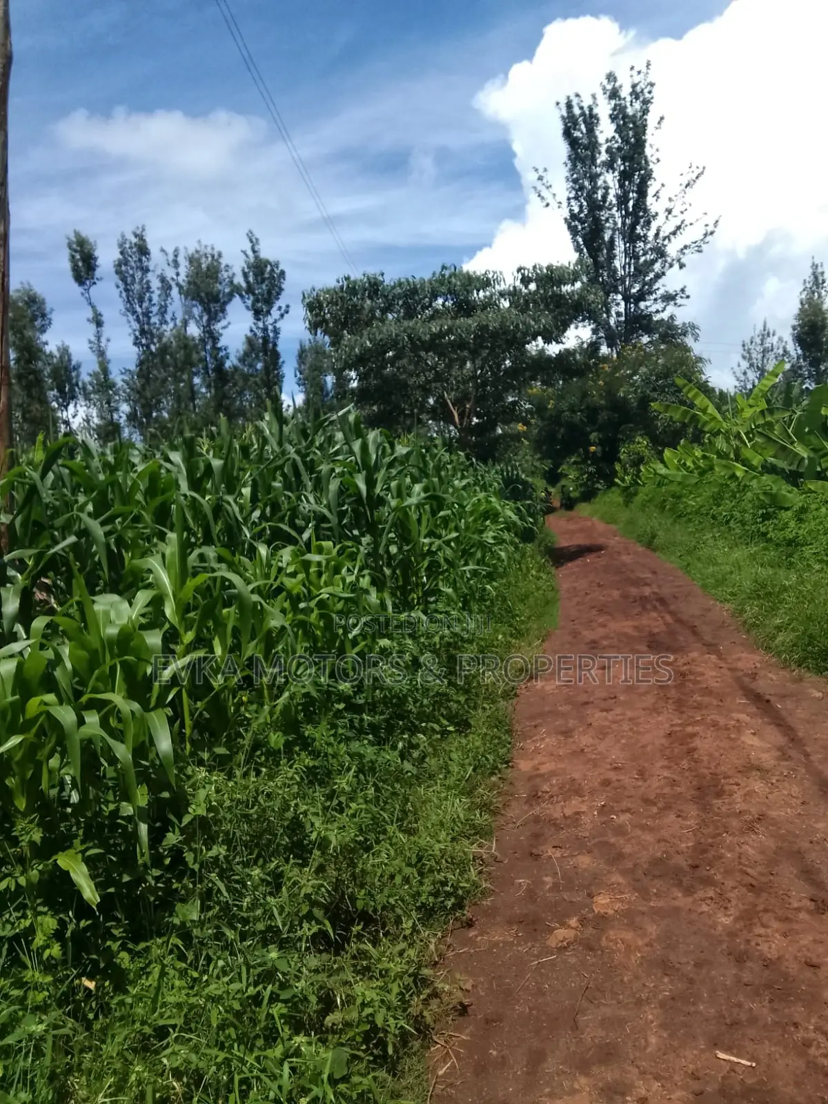 1acre Kamahuha 2km From Tarmac in Makuyu