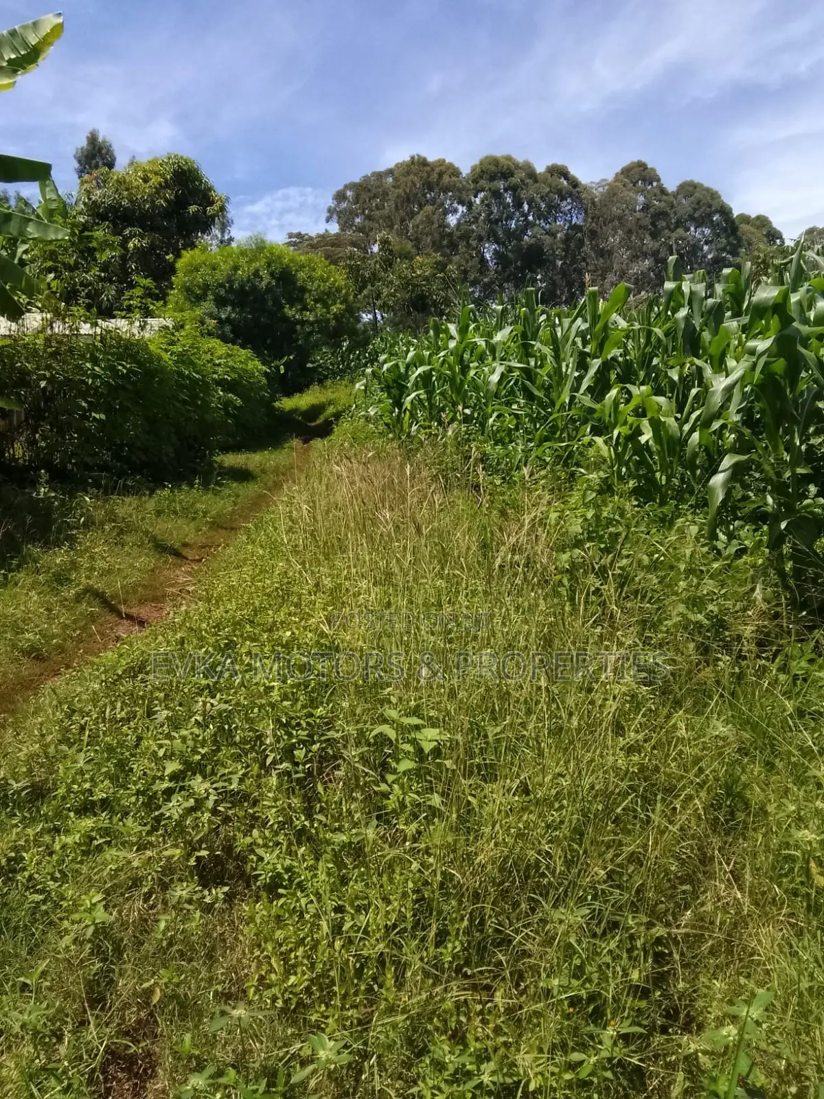 1acre Kamahuha 2km From Tarmac in Makuyu