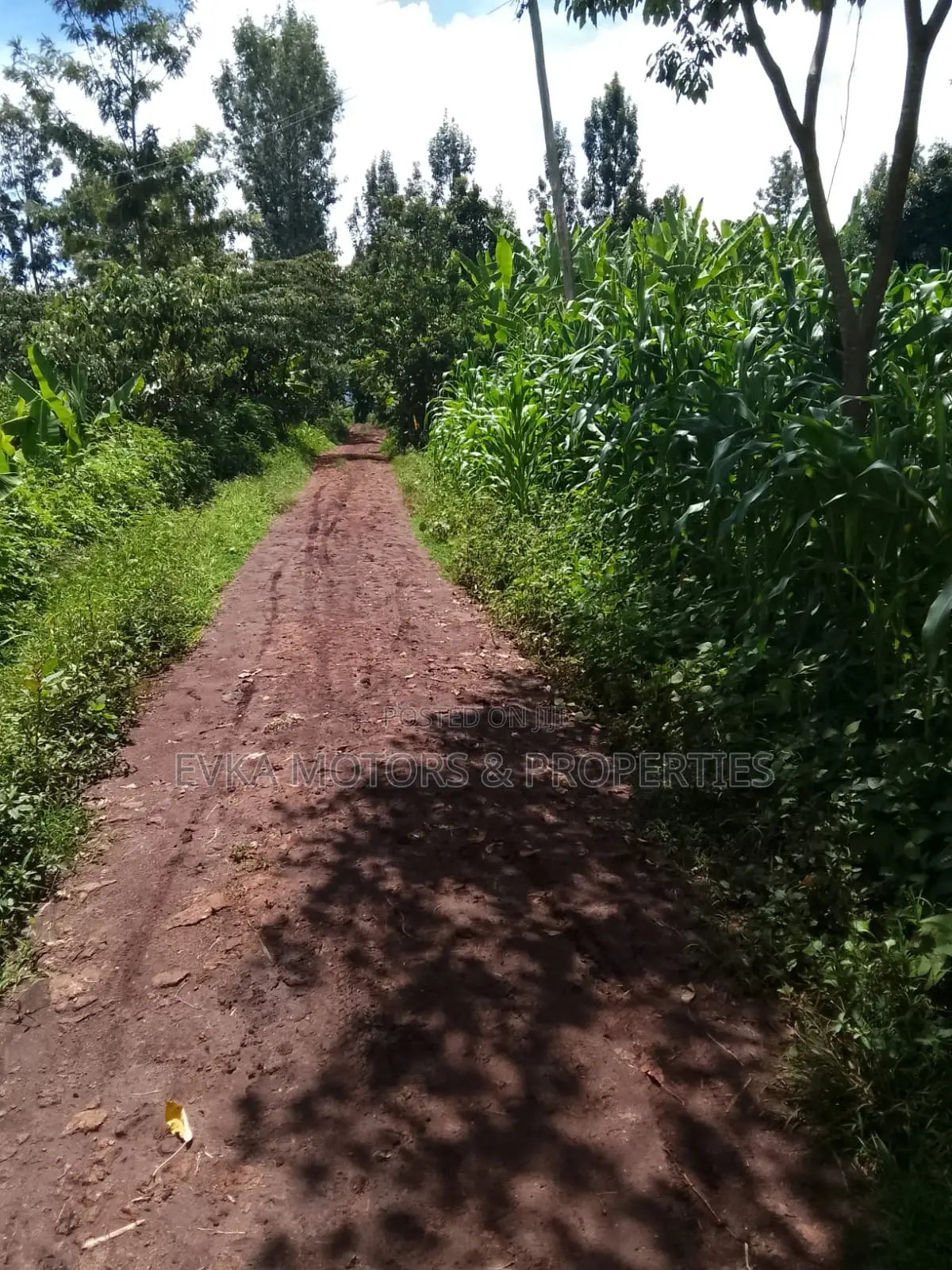 1acre Kamahuha 2km From Tarmac in Makuyu