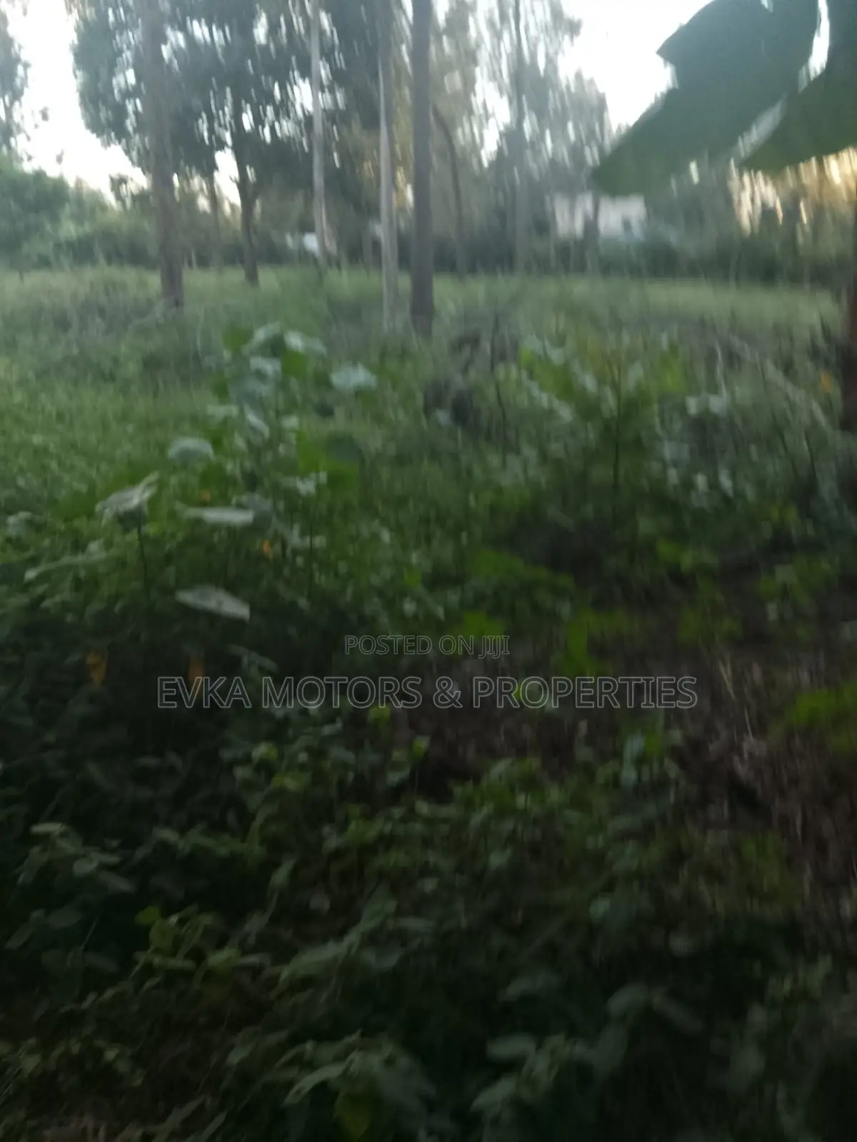 31⁄4 Acres Available Maragwa Summary in Kamahuha