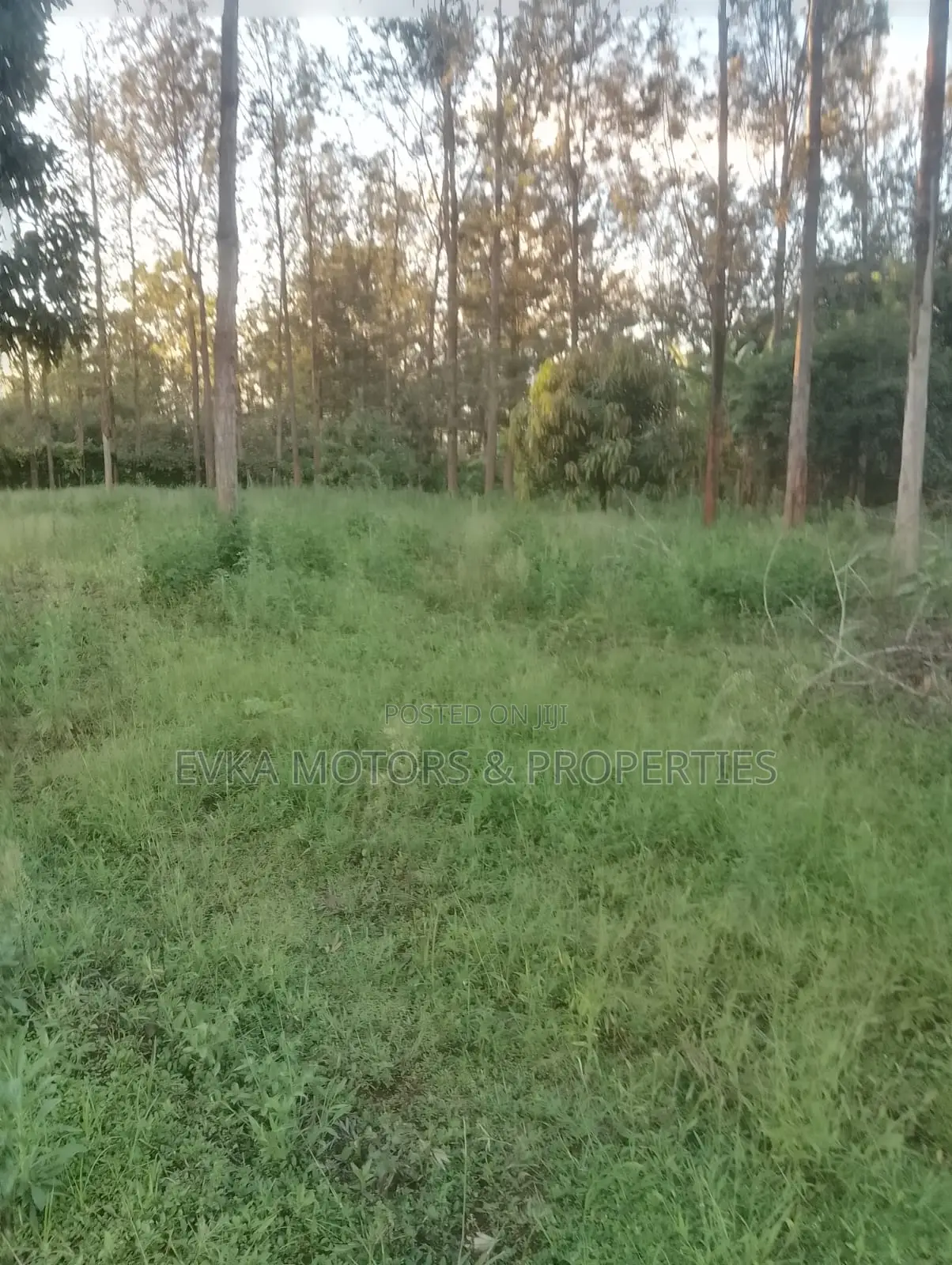 31⁄4 Acres Available Maragwa Summary in Kamahuha