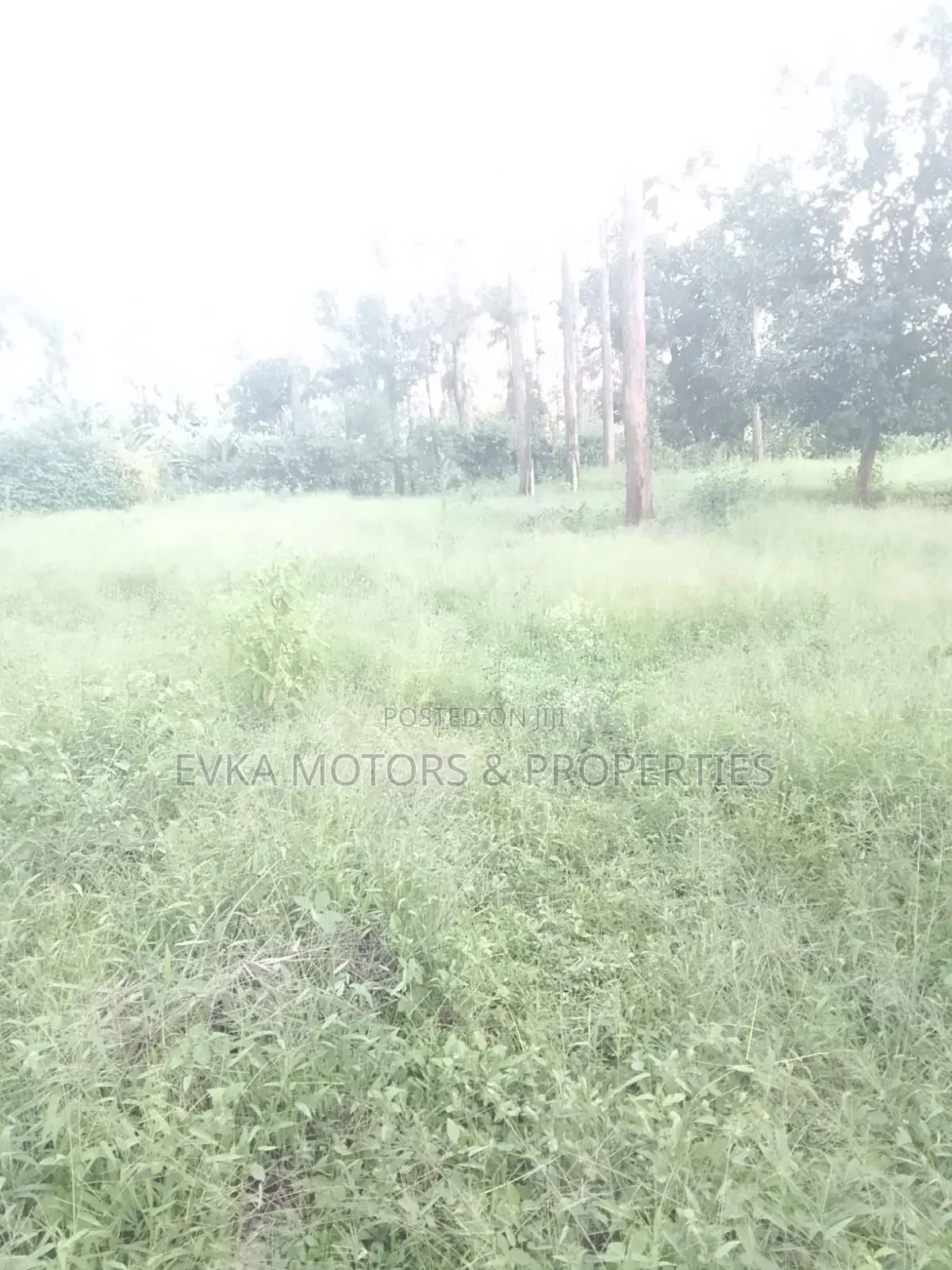 31⁄4 Acres Available Maragwa Summary in Kamahuha