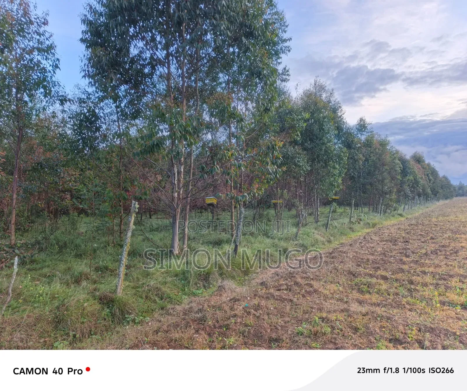 Nyahururu Mairu Ikumi Prime 5 Acres Fronting Main Tarmac Road in Gatuamba