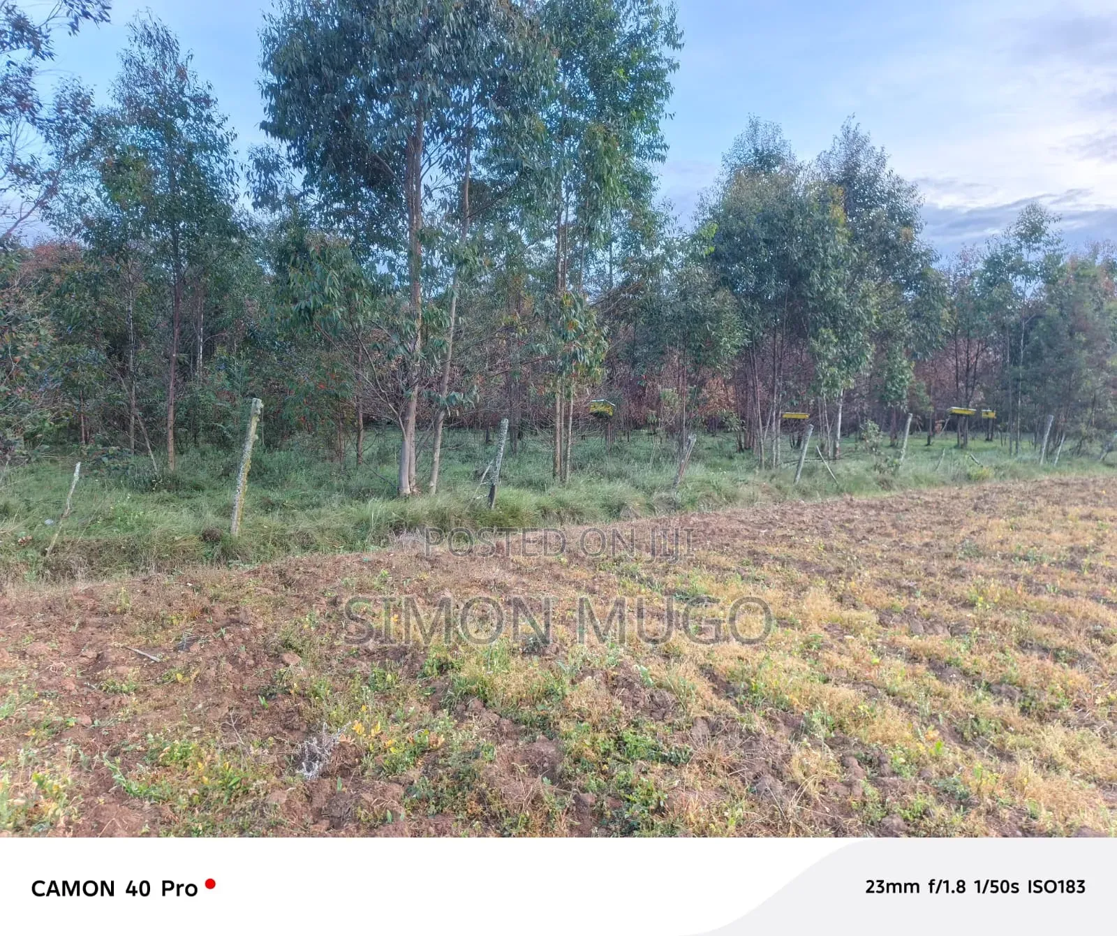 Nyahururu Mairu Ikumi Prime 5 Acres Fronting Main Tarmac Road in Gatuamba