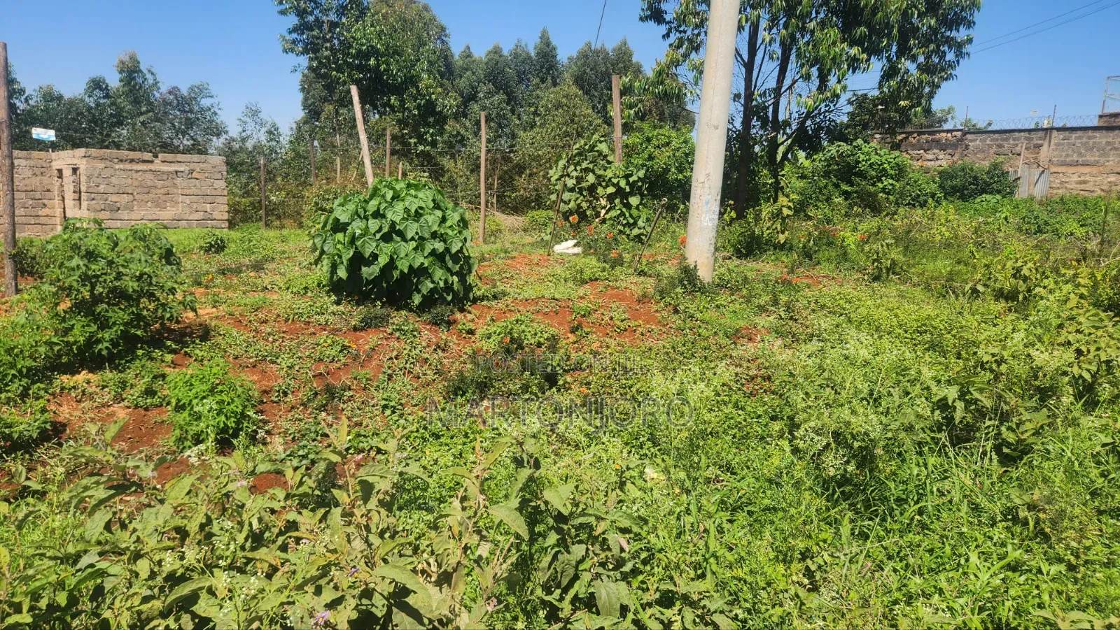 Gatundu Wamwangi 2 Acres in Ndarugu