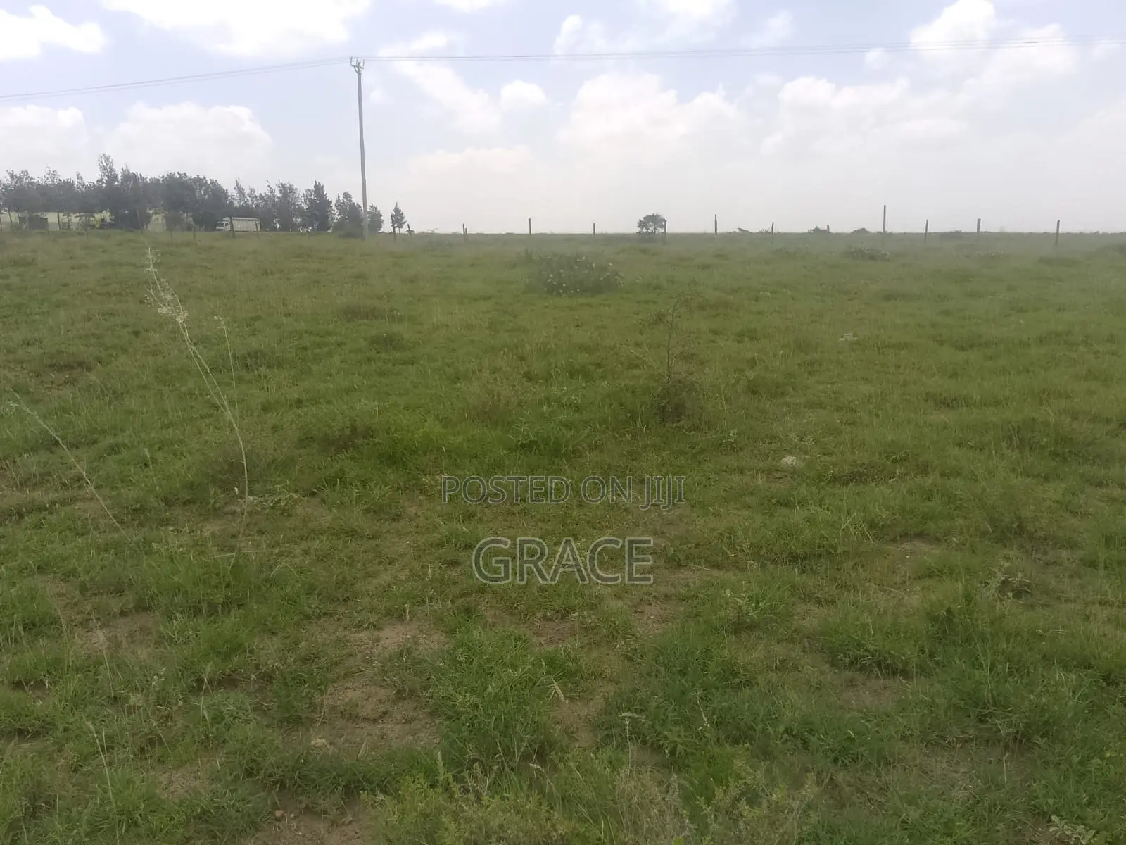 Invest in Mwea Karaba – Kes Only in Mwea