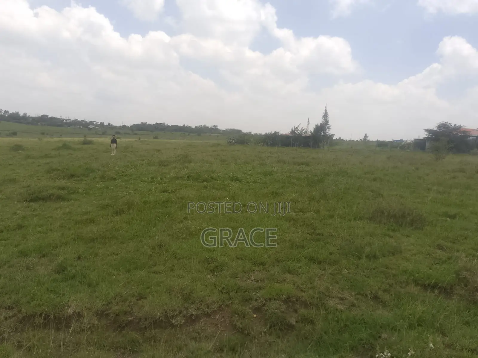 Invest in Mwea Karaba – Kes Only in Mwea
