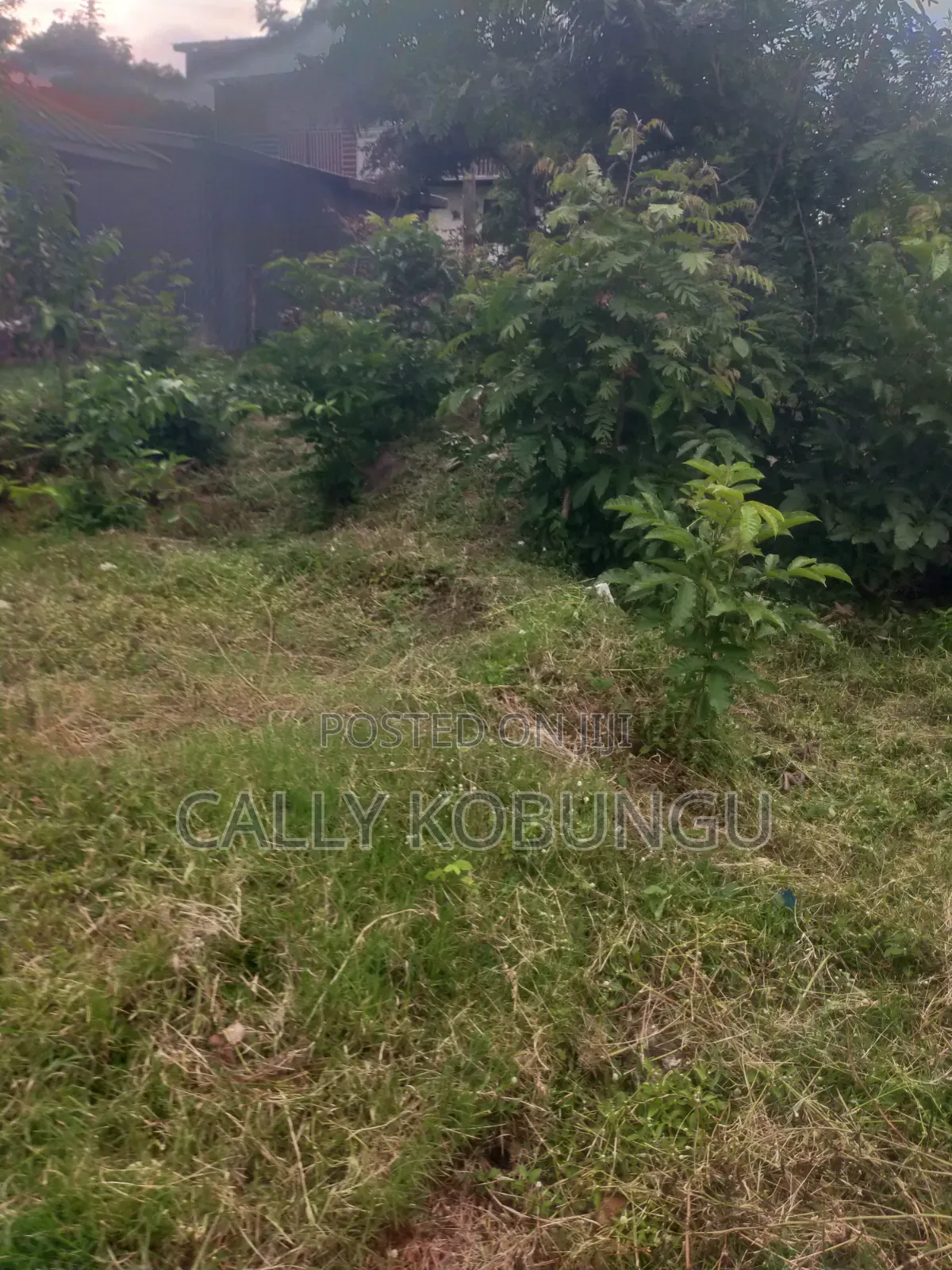 1⁄4 an Acre in Dunga, Atela Junction in Dunga