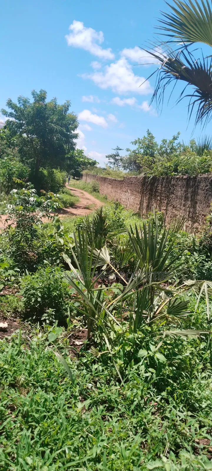 5 Acres for Sale as Block in Diani Rock Galana Area Fully Fenced in Diani