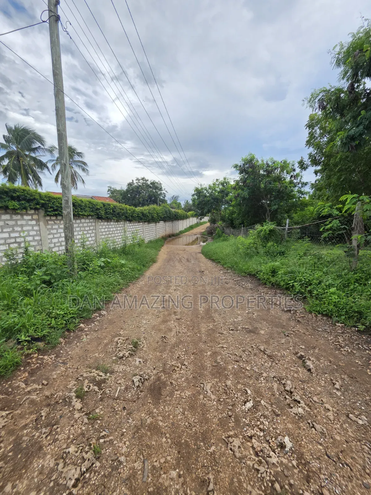 3 Pieces of 1/4 Acre Each Diani Bogani Villa Area for Sale in Diani