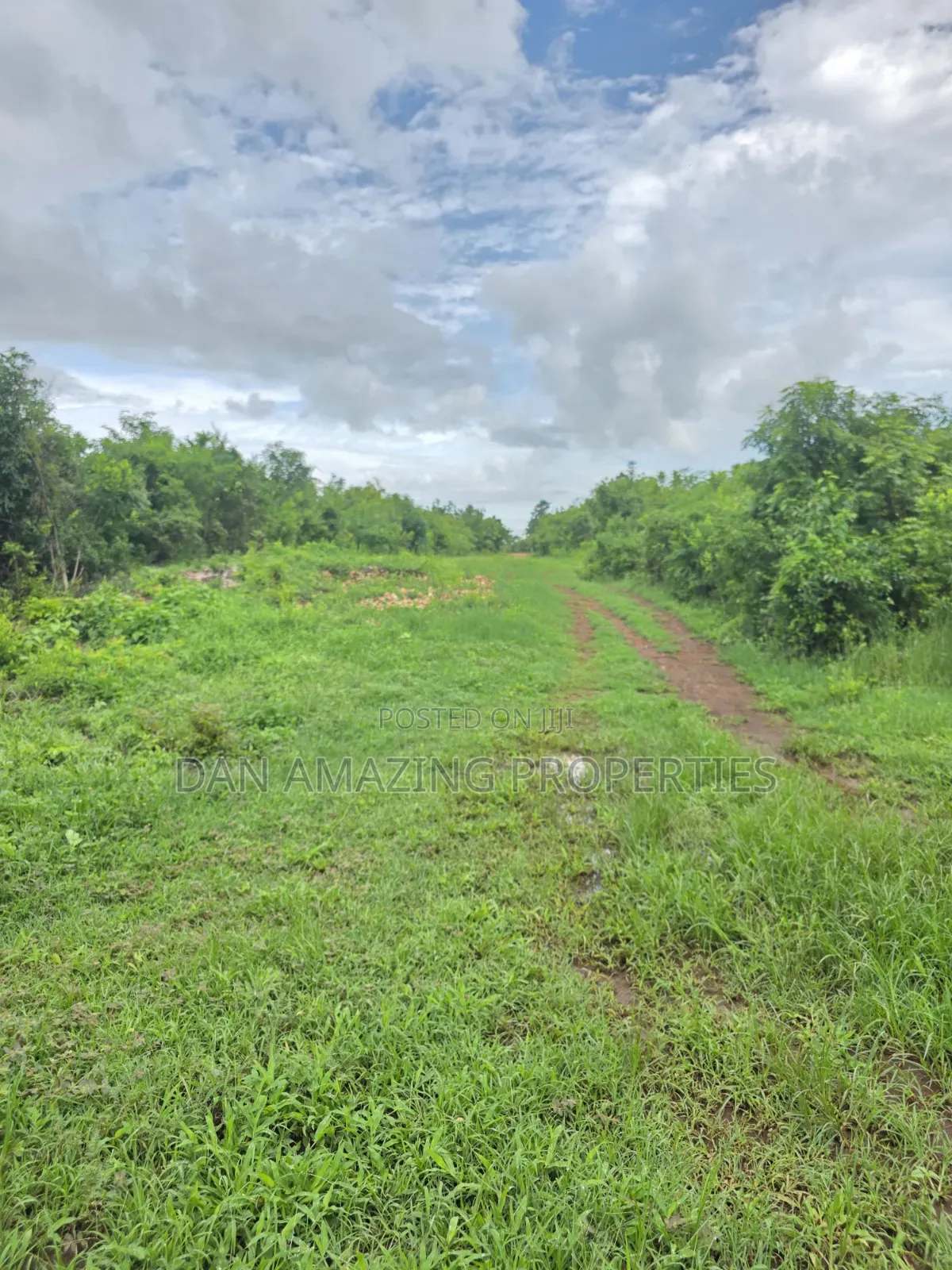 2 Pieces of 1/4 Acre Each in Diani Galu Inn Area in Diani