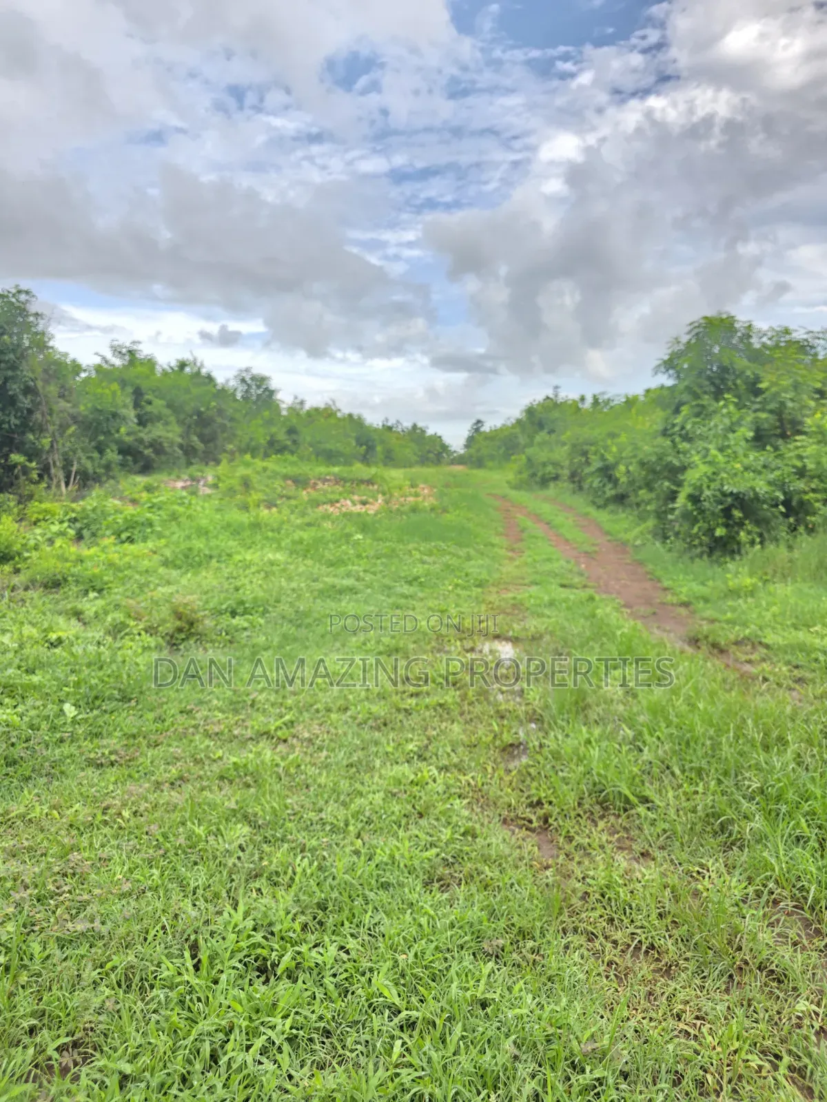 2 Pieces of 1/4 Acre Each in Diani Galu Inn Area in Diani