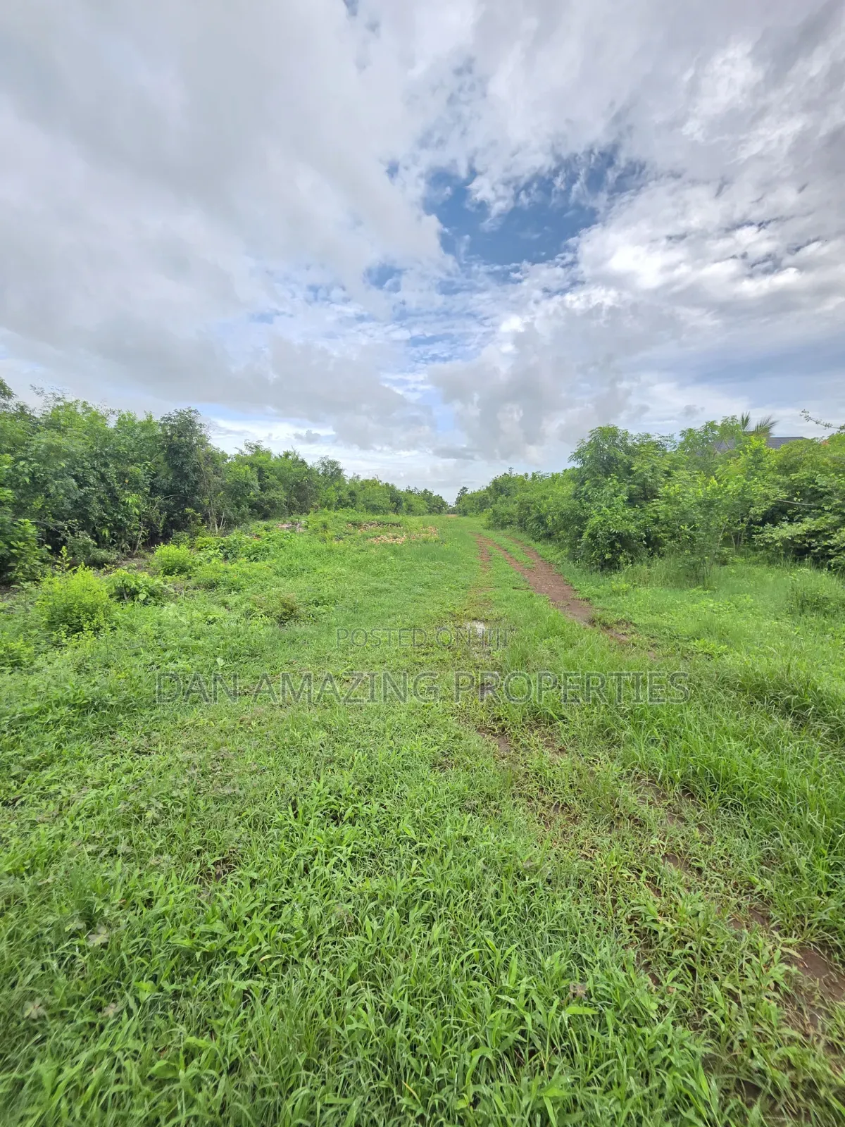 2 Pieces of 1/4 Acre Each in Diani Galu Inn Area in Diani