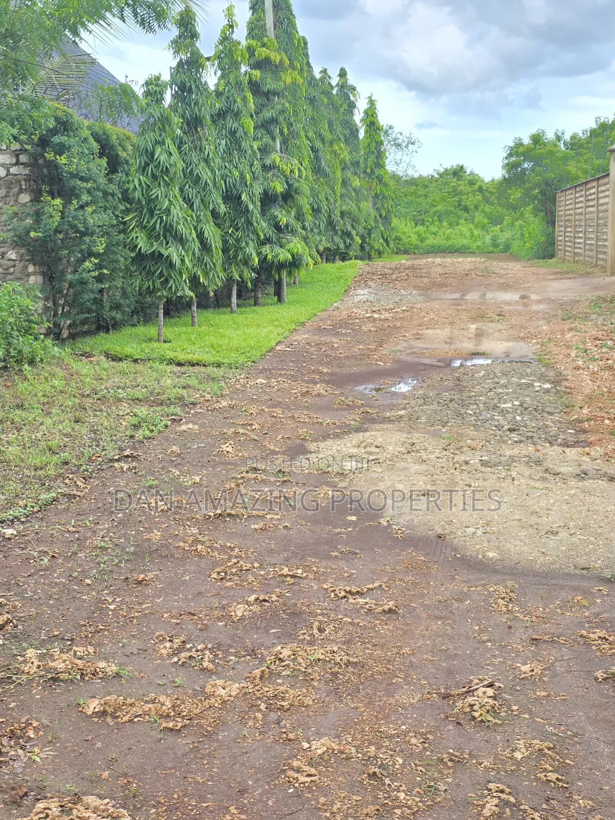 2 Pieces of 1/4 Acre Each in Diani Galu Inn Area in Diani