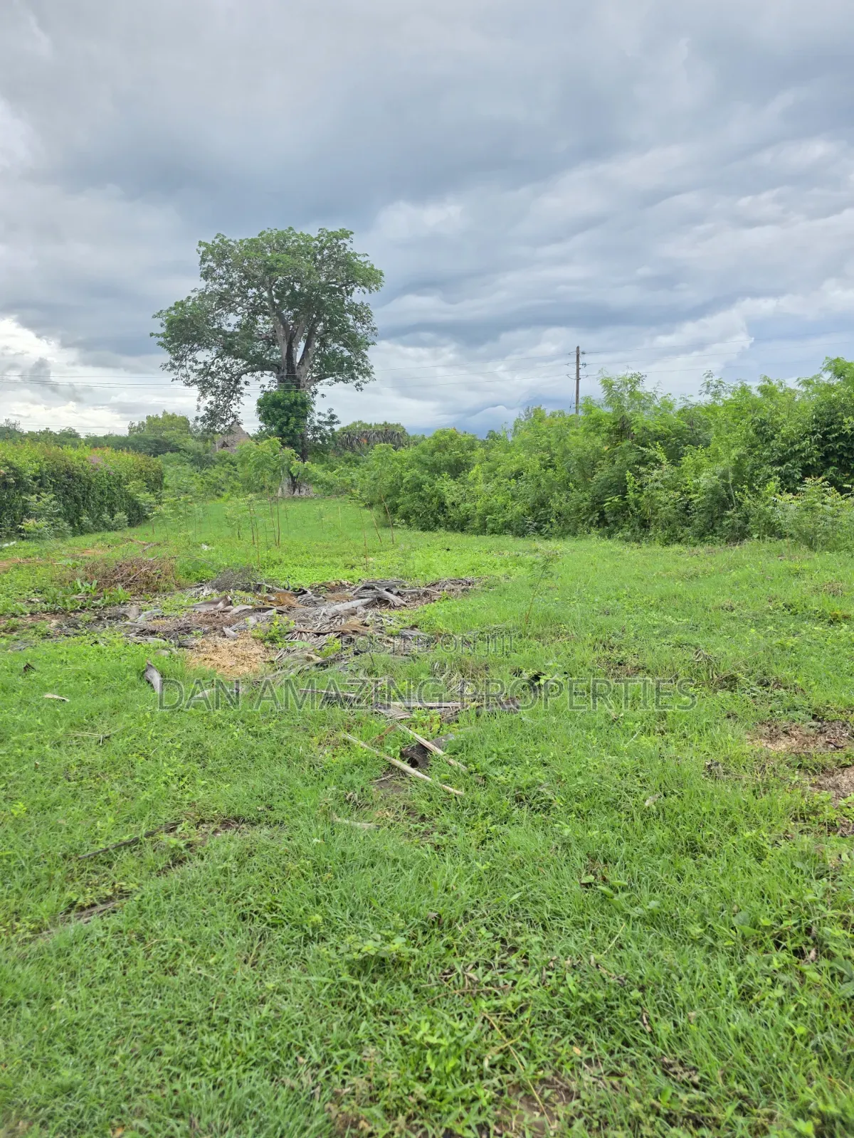 Half an Acre Diani Hibiscus Area for Sale in Diani