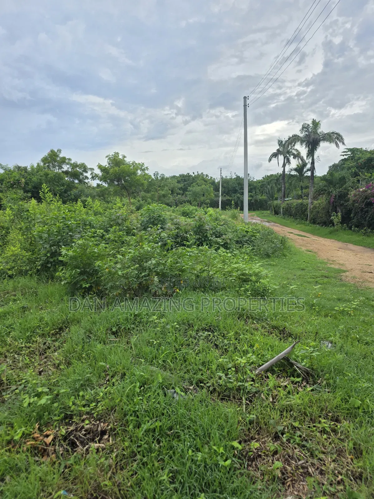 Half an Acre Diani Hibiscus Area for Sale in Diani