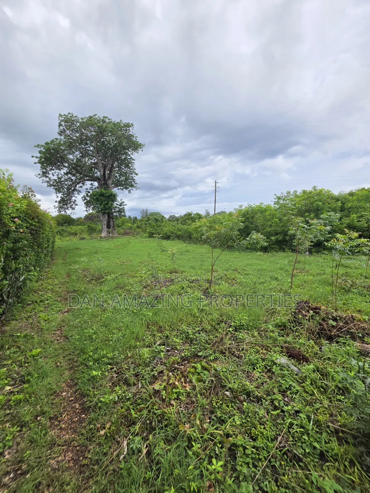 Half an Acre Diani Hibiscus Area for Sale in Diani