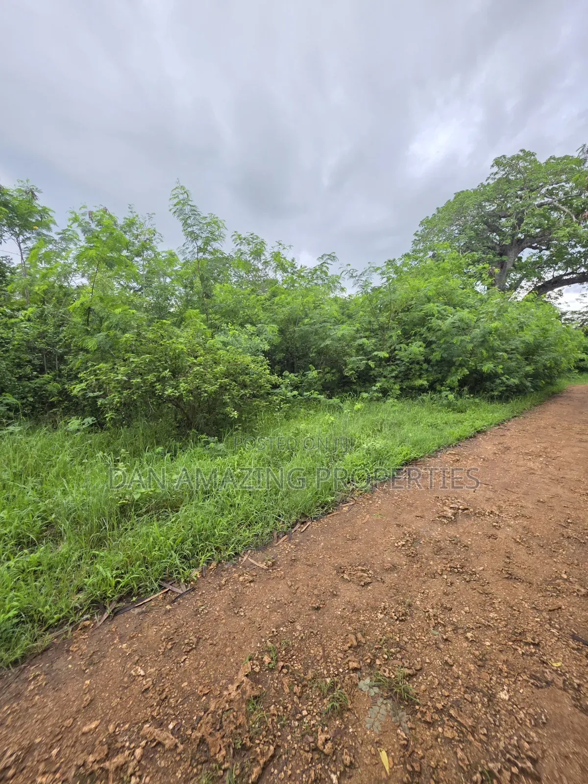 2 Pieces of 1/4 Acre Each Diani Behind Sunderowner for Sale in Diani