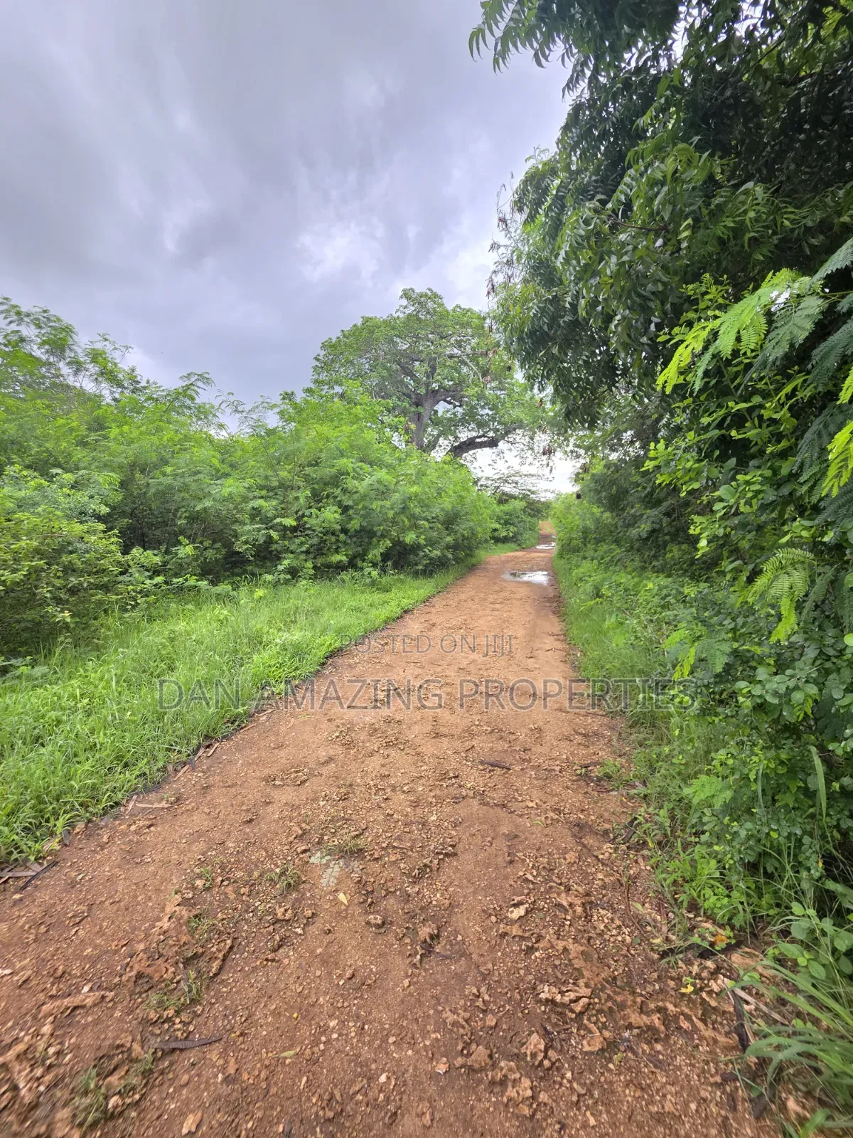 2 Pieces of 1/4 Acre Each Diani Behind Sunderowner for Sale in Diani