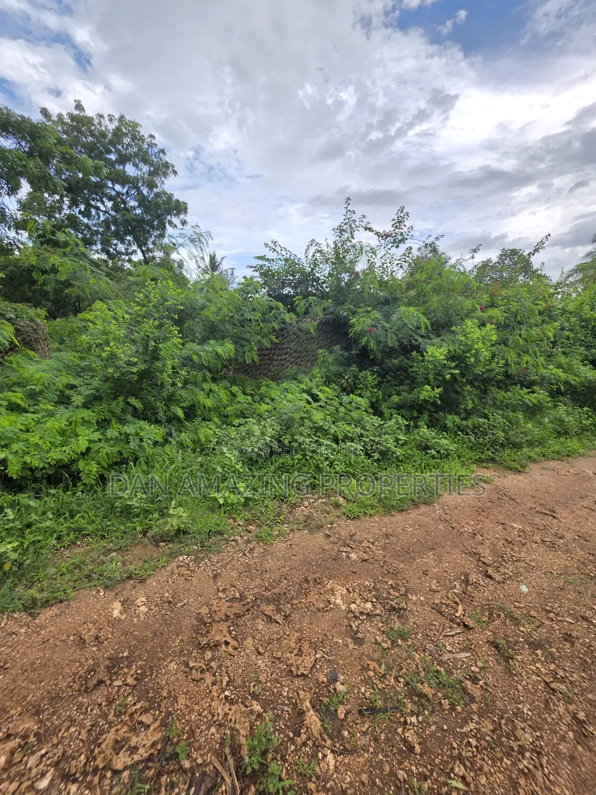 2 Pieces of 1/4 Acre Each Diani Behind Sunderowner for Sale in Diani