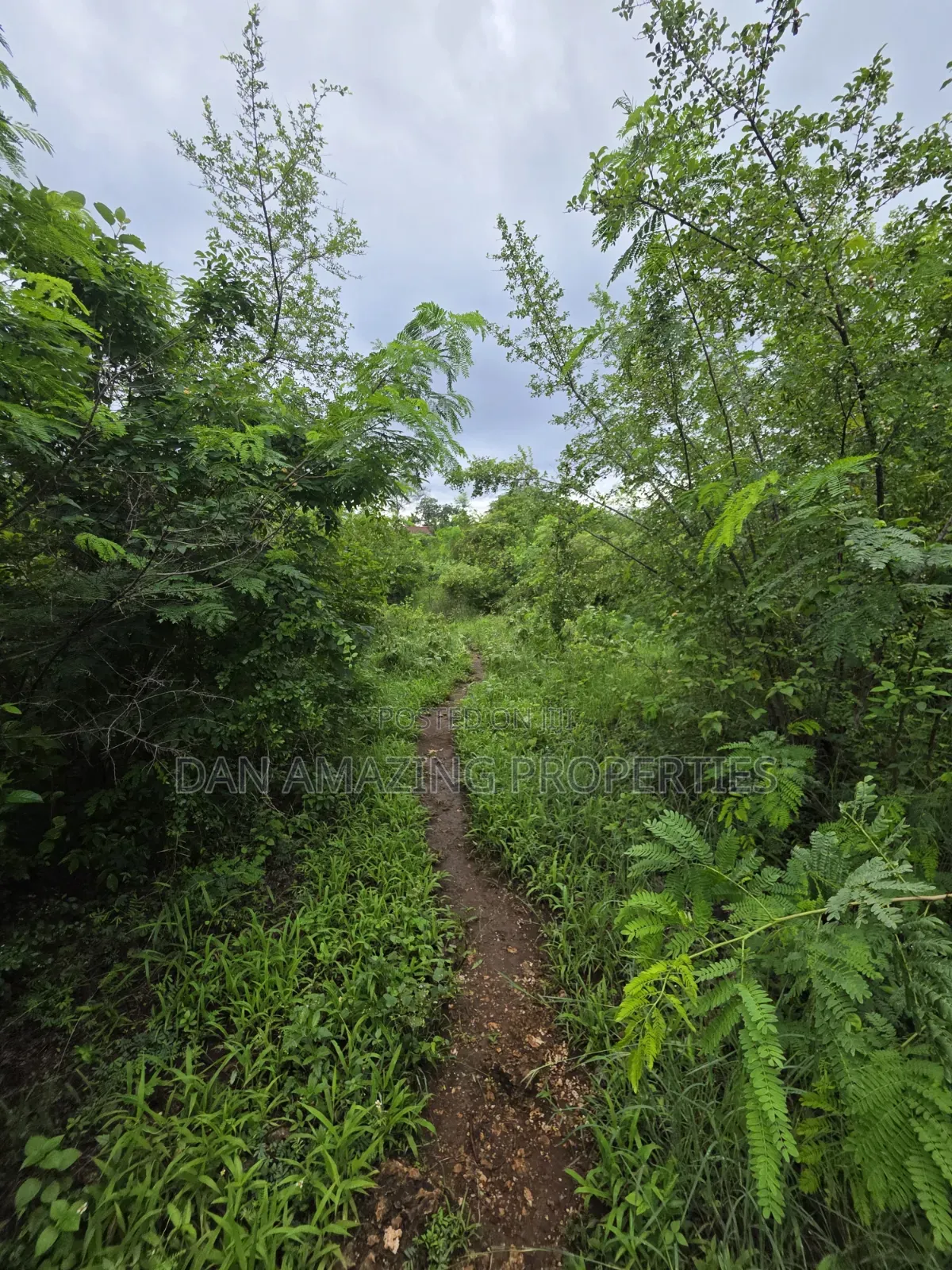 2 Pieces of 1/4 Acre Each Diani Behind Sunderowner for Sale in Diani