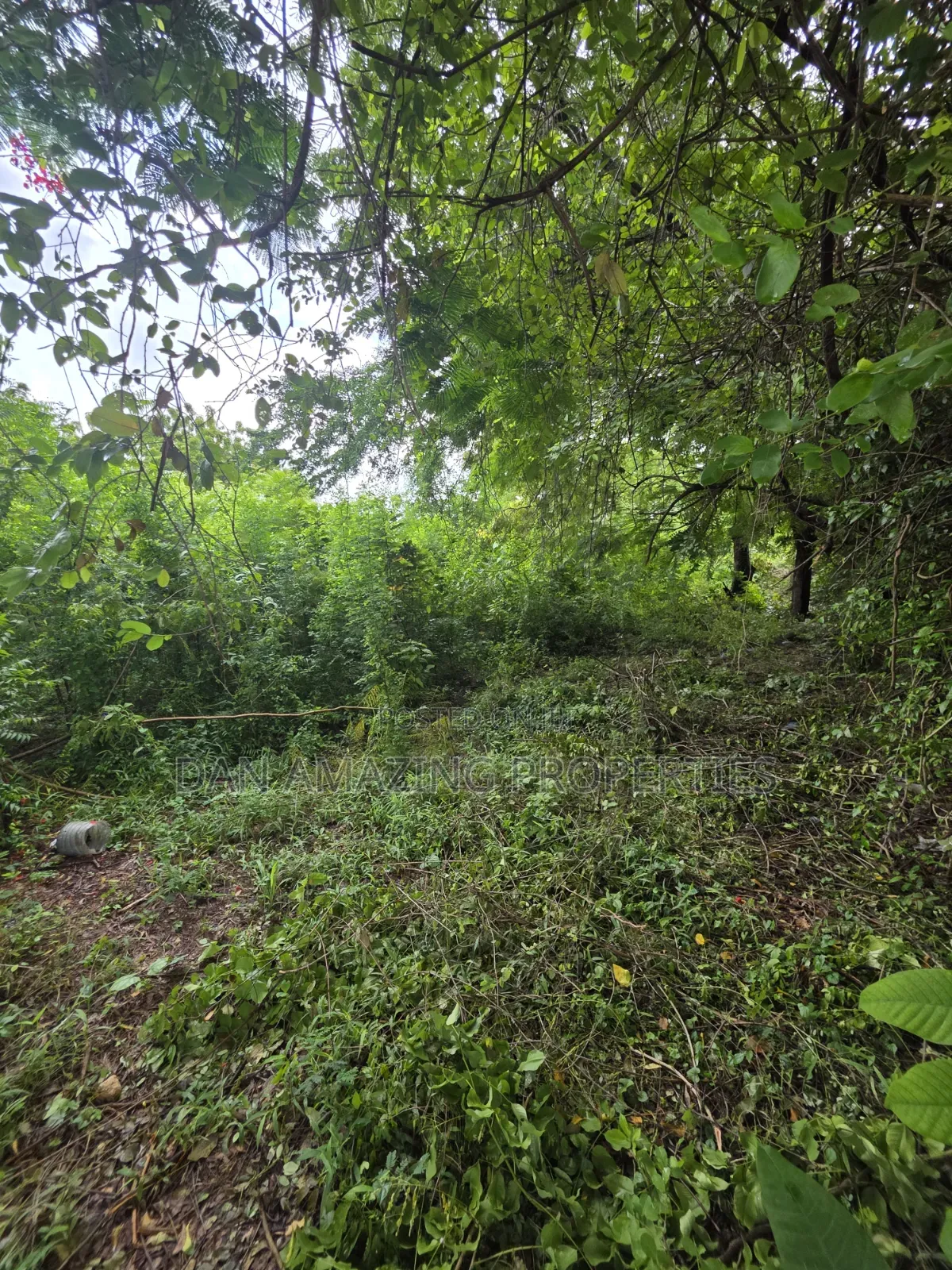 3 Acres for Sale as a Block Touching Diani Beach Road in Diani