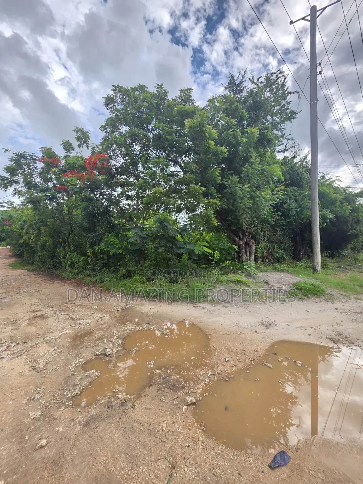 3 Acres for Sale as a Block Touching Diani Beach Road in Diani