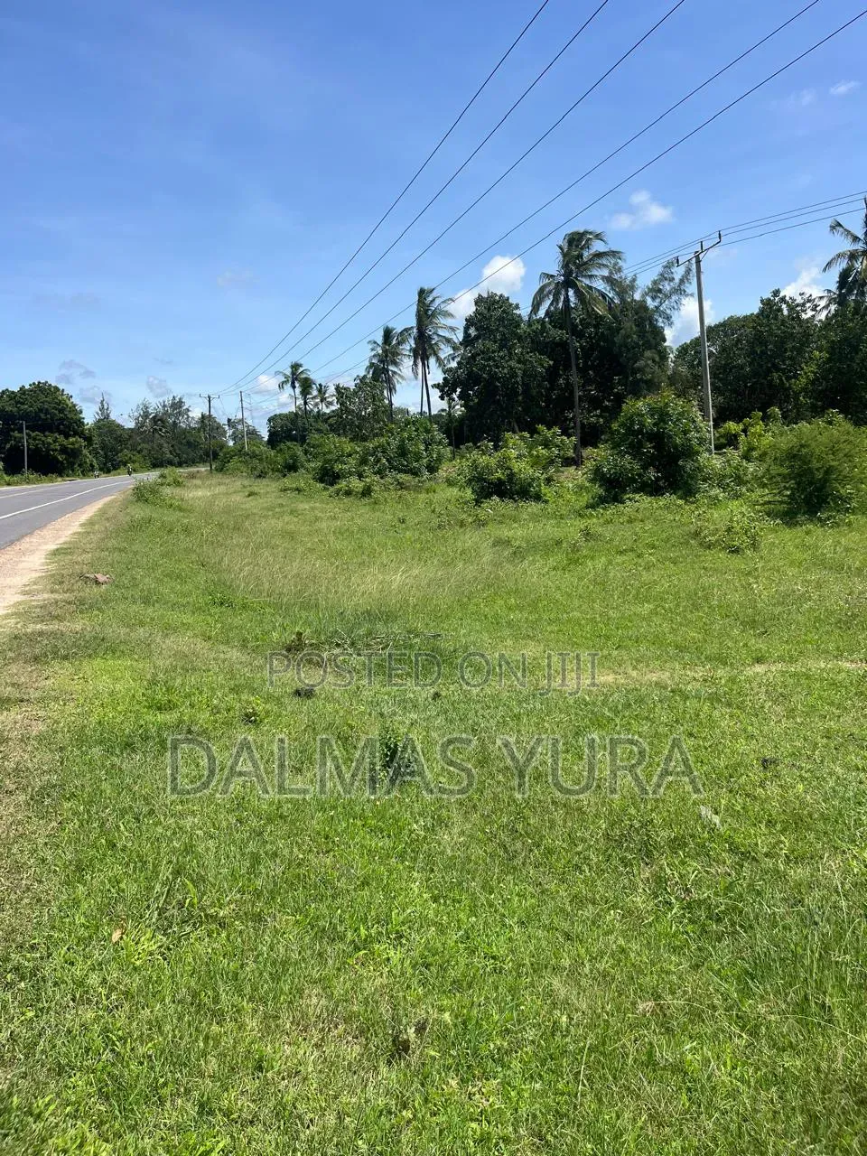 3 Acres Land at Gede in Watamu