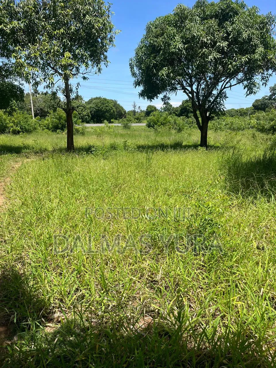3 Acres Land at Gede in Watamu