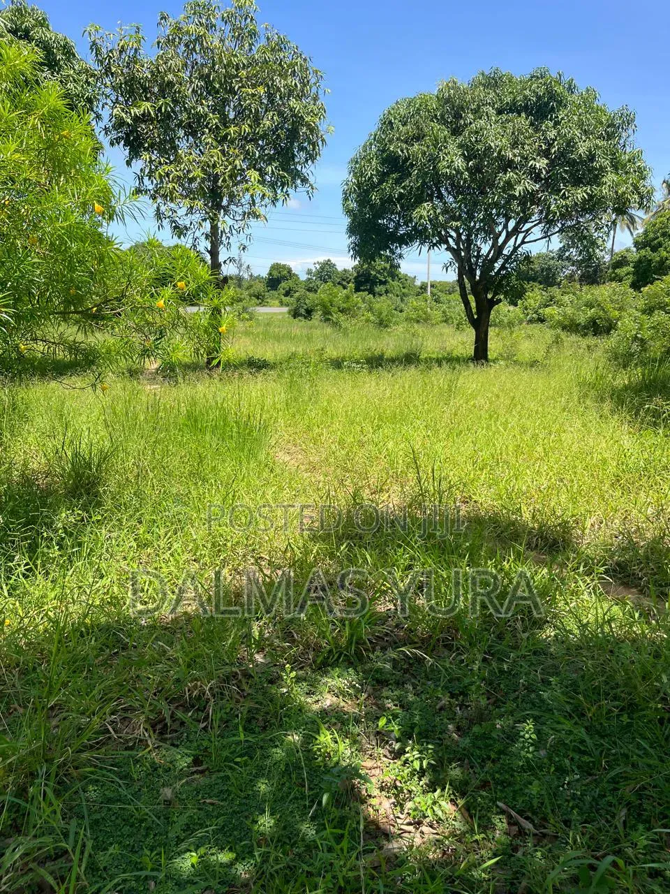 3 Acres Land at Gede in Watamu