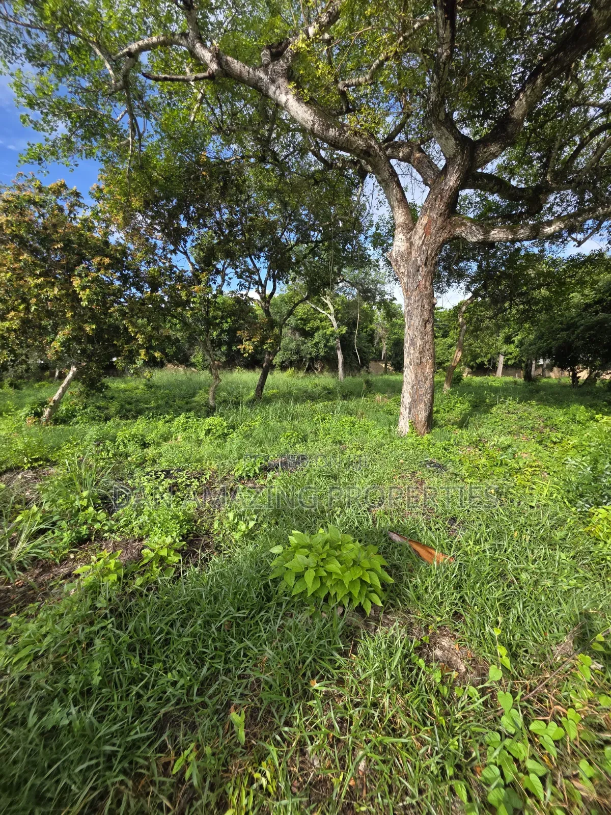 1/4 Acre Beachfront Plots Diani in a Gated Communiry for Sale in Diani