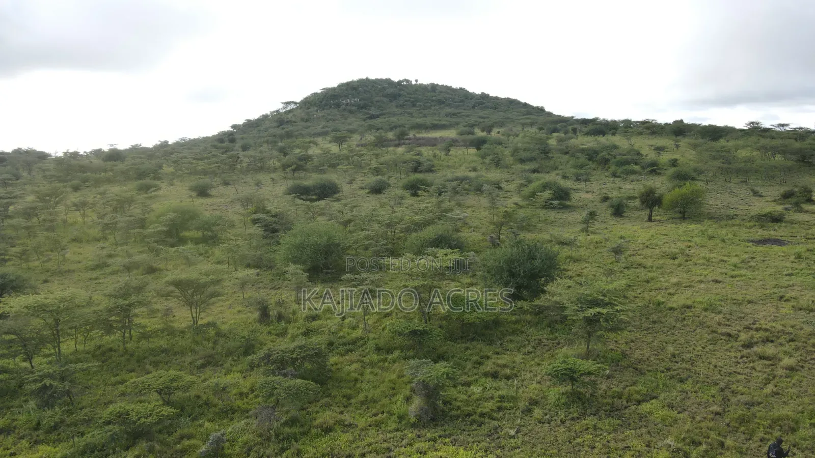 20 Acres Kipeto at Per Acre in Ildamat