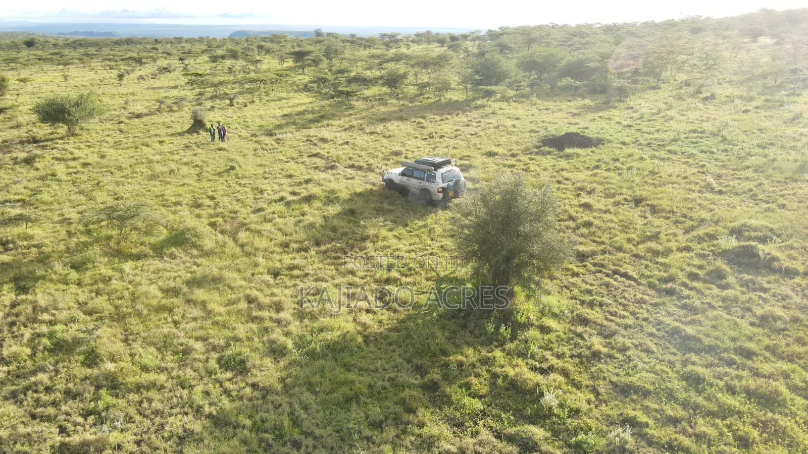 20 Acres Kipeto at Per Acre in Ildamat
